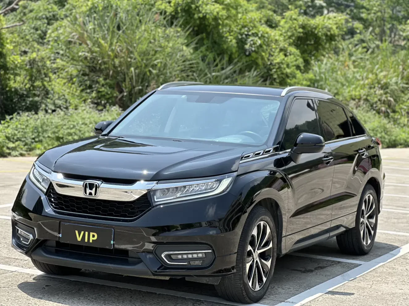 Honda Avancier
