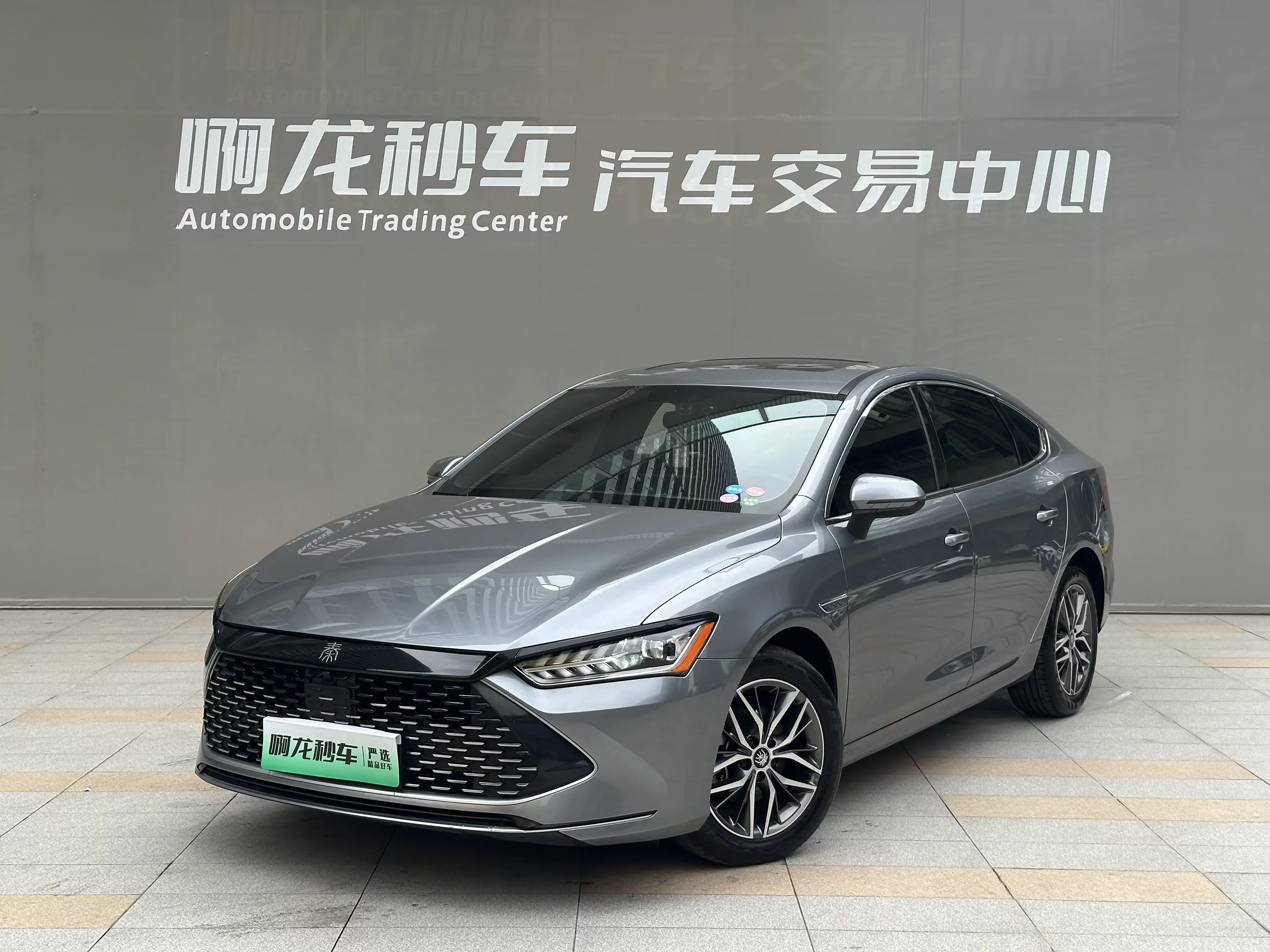 BYD Qin PLUS DM