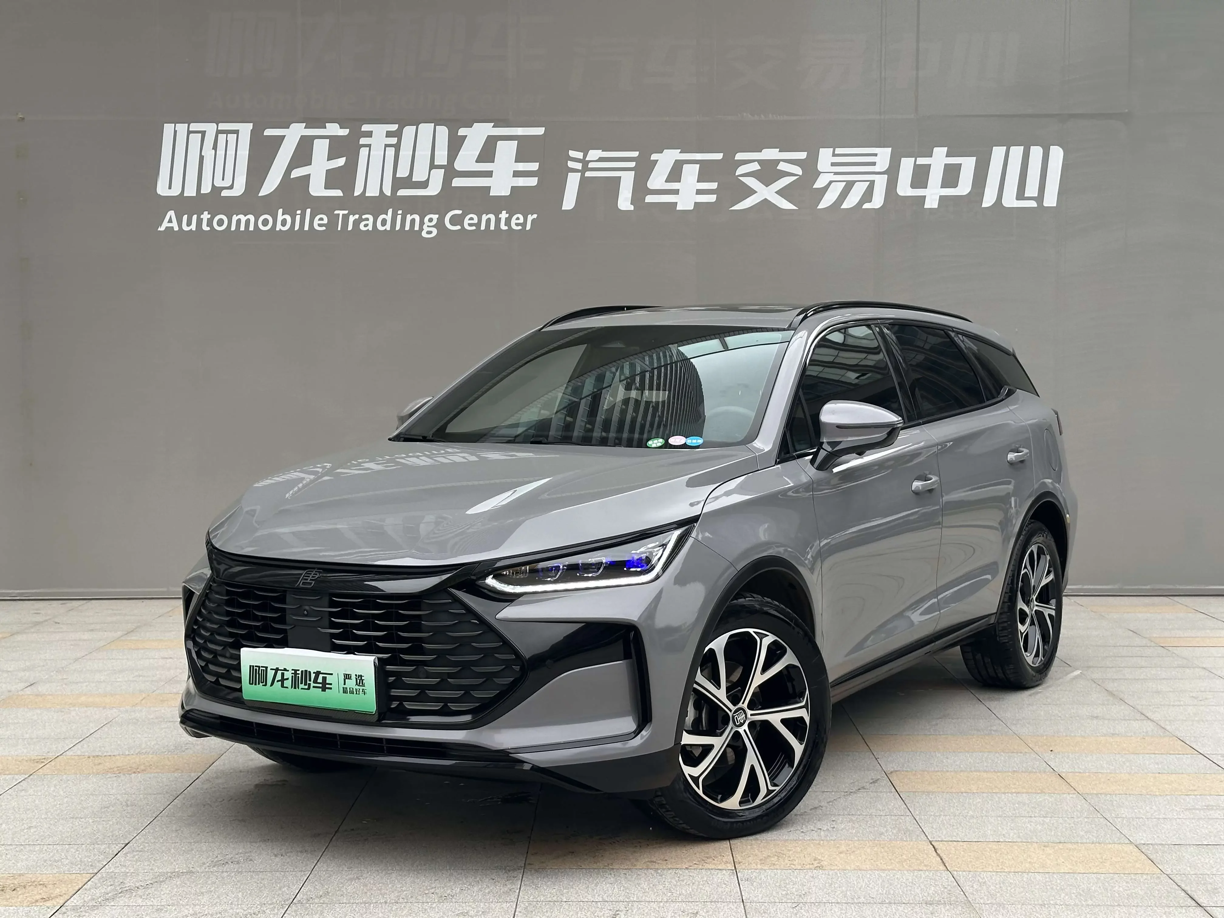 BYD Tang DM