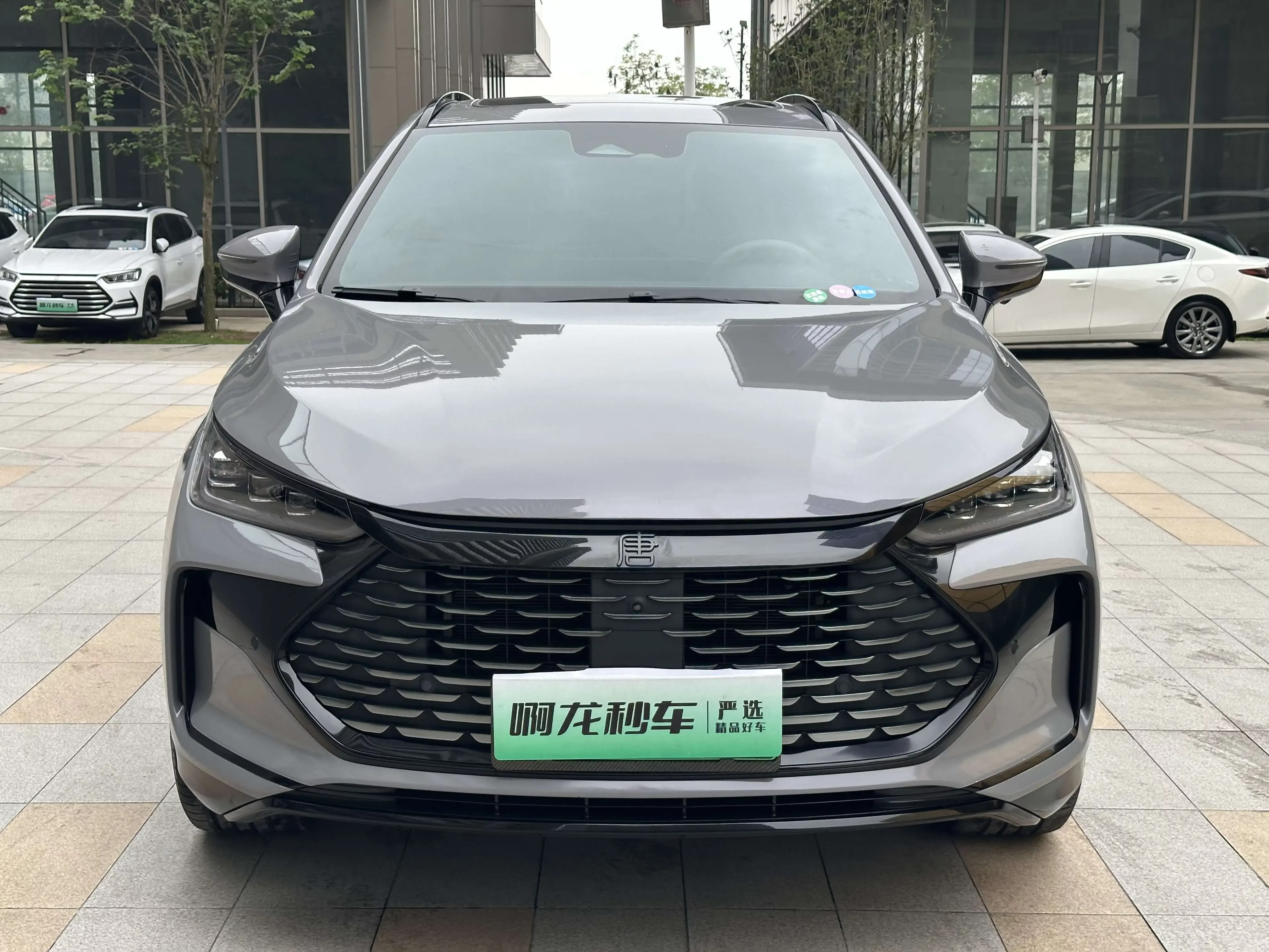 BYD Tang DM