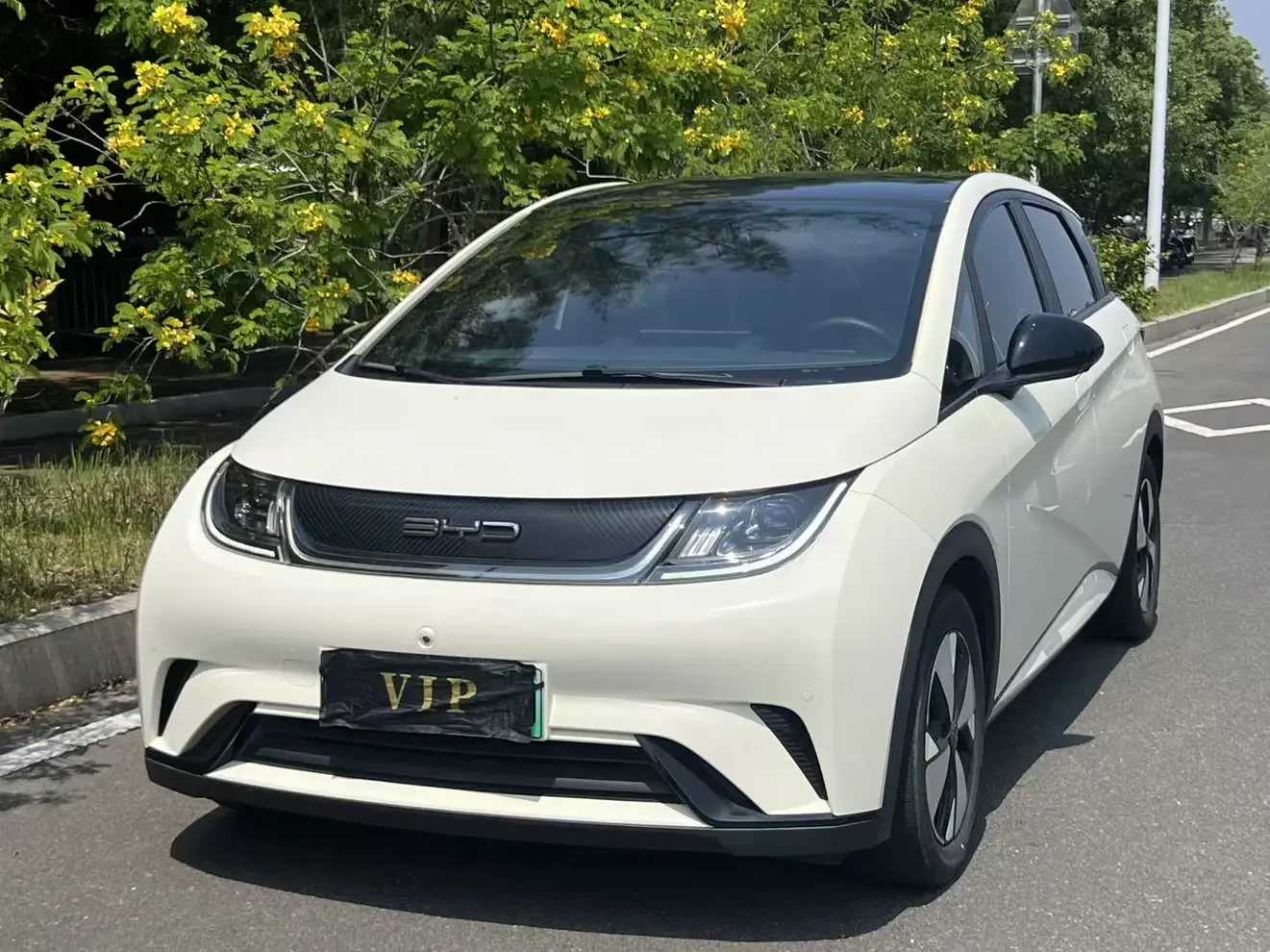 BYD dolphin