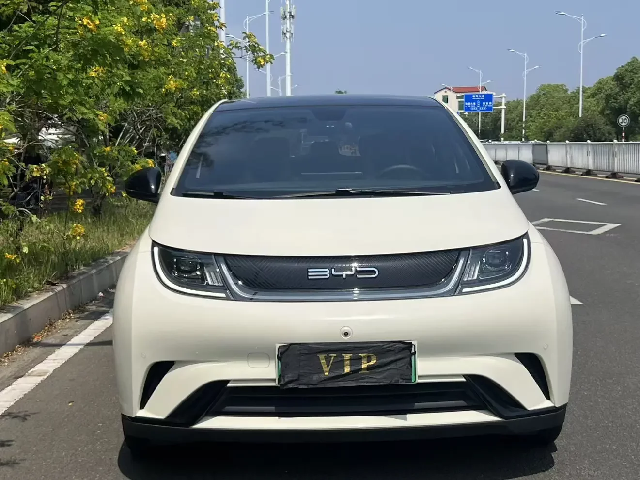 BYD dolphin