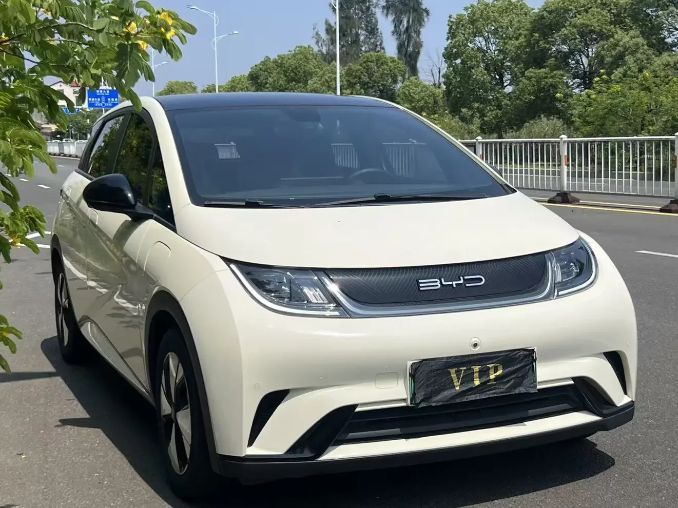 BYD dolphin