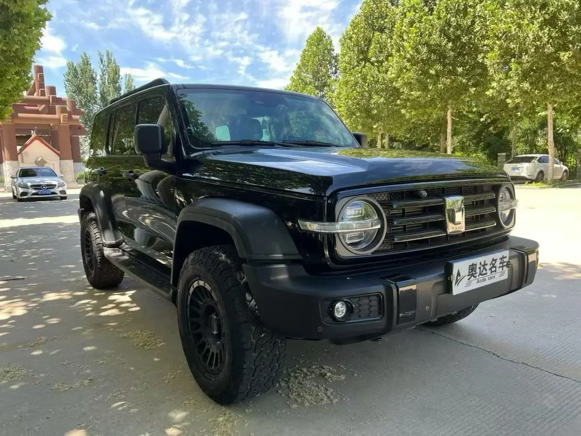 Tank 300