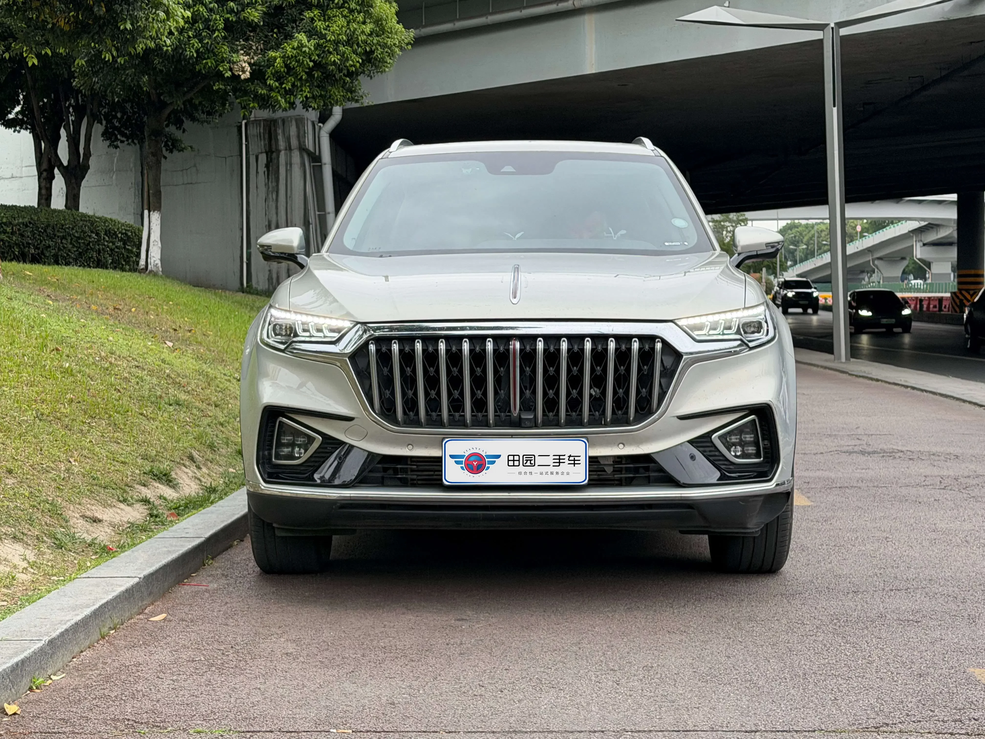 Hongqi HS5