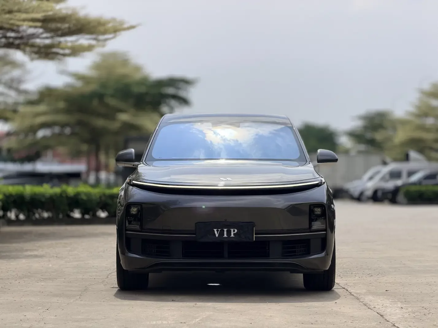 Lixiang L8