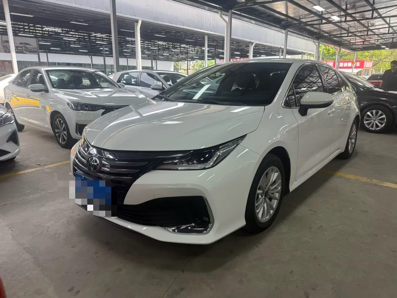 Toyota Asiatic lion