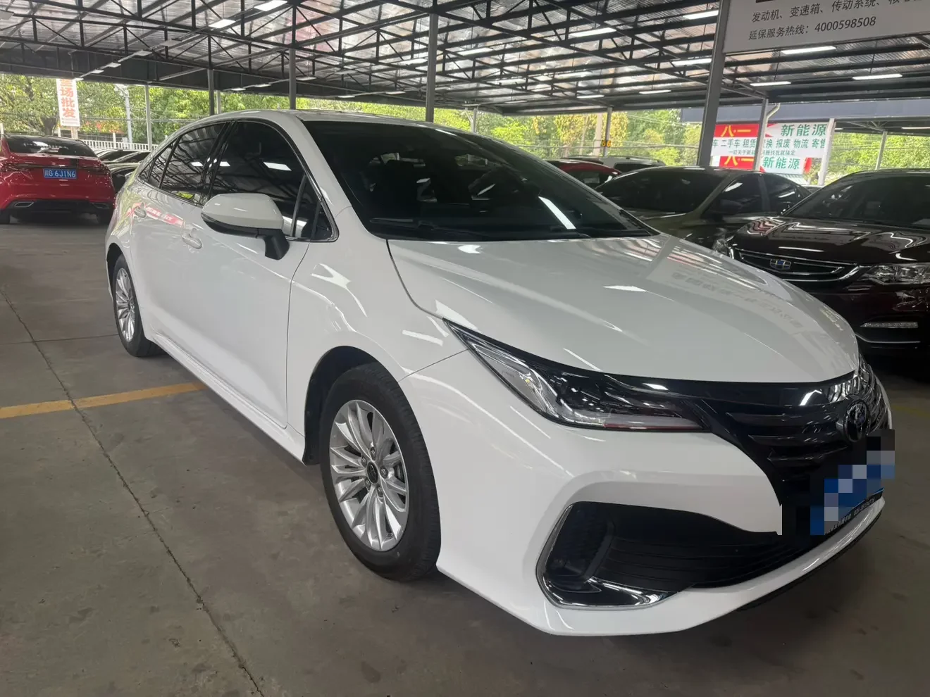 Toyota Asiatic lion