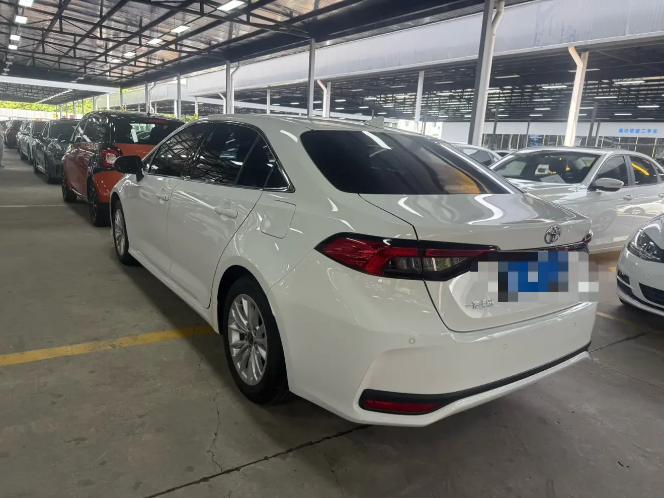 Toyota Asiatic lion
