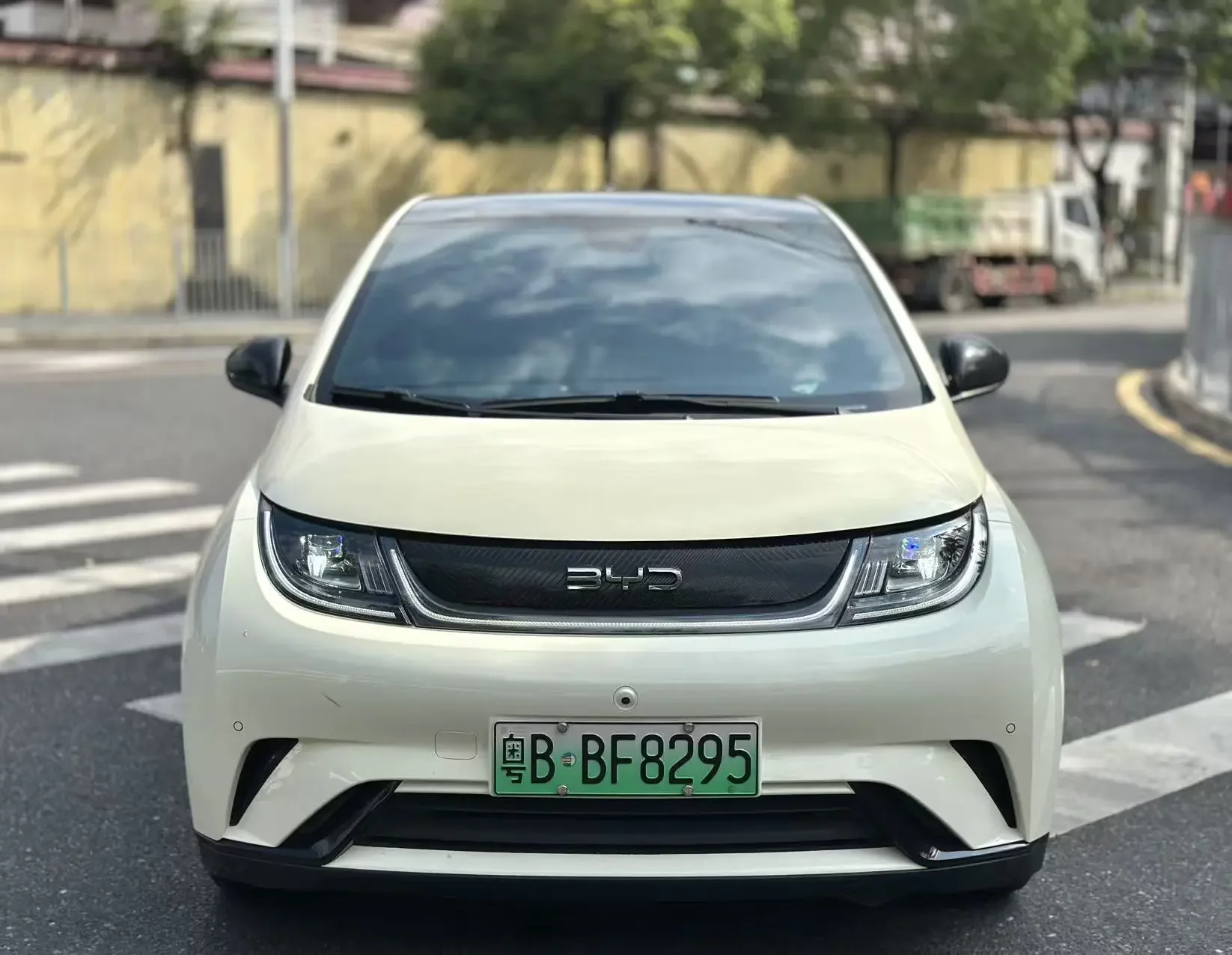 BYD dolphin