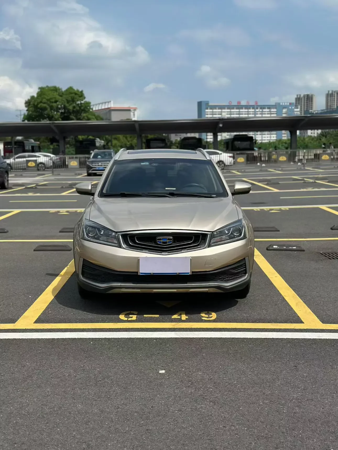 Geely Vision S1