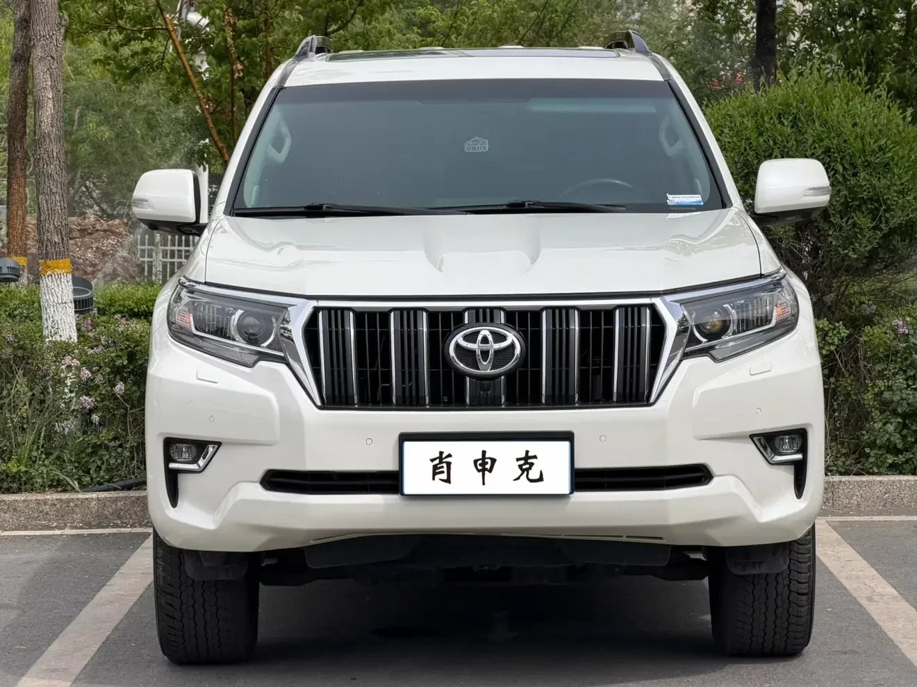 Toyota prado