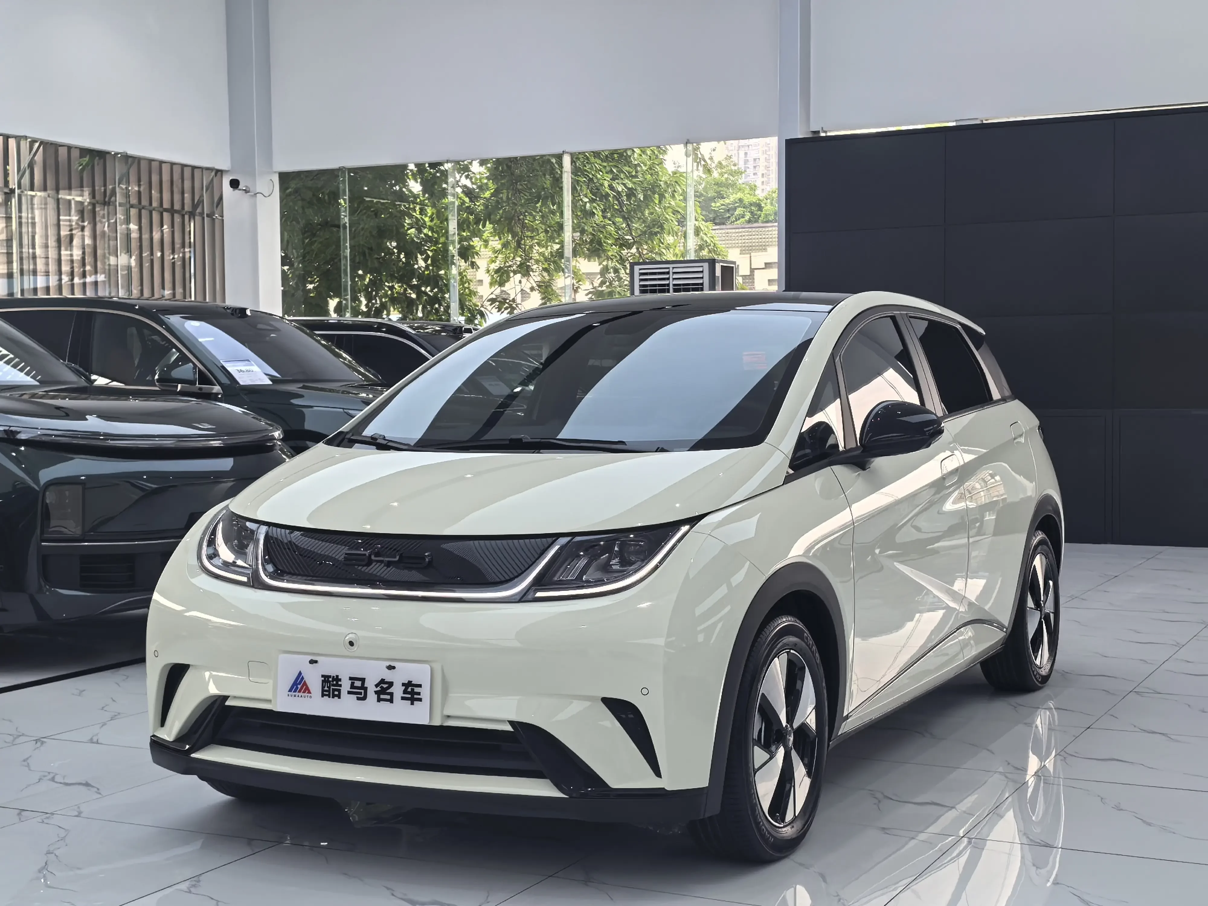BYD dolphin