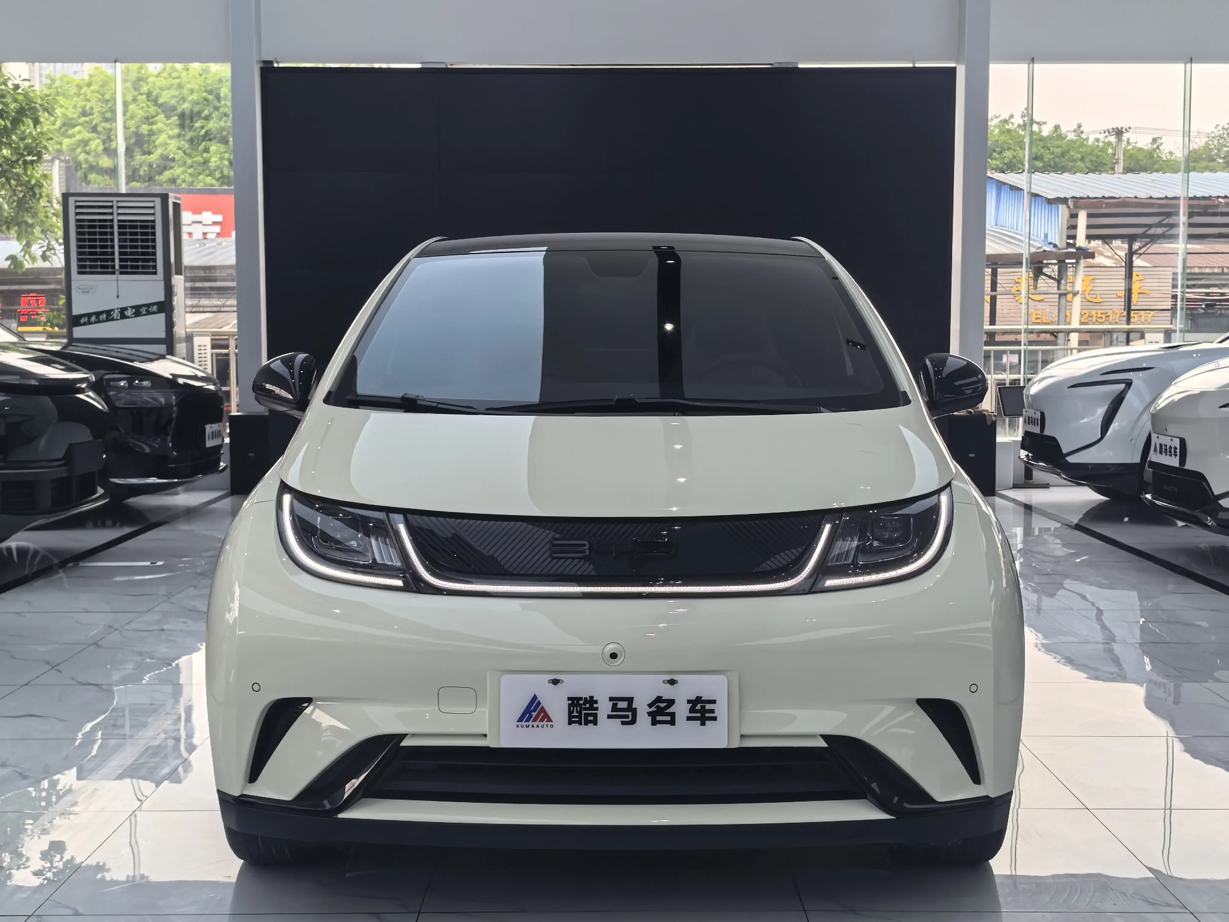 BYD dolphin