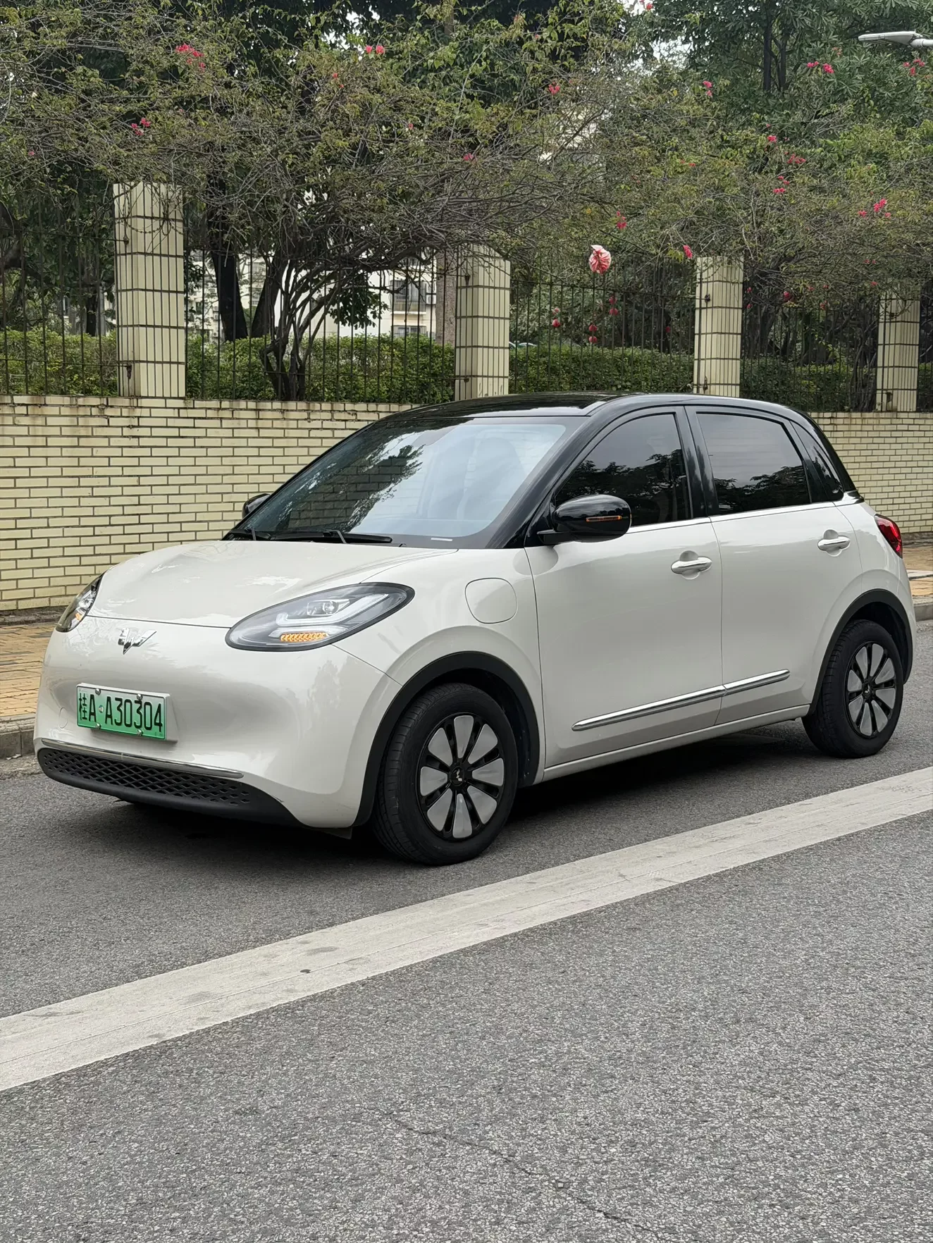 Wuling Bingo