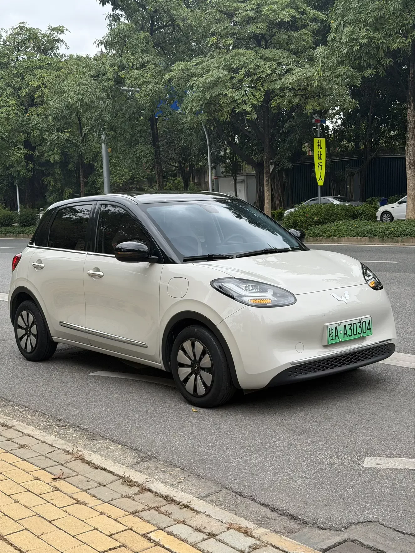 Wuling Bingo