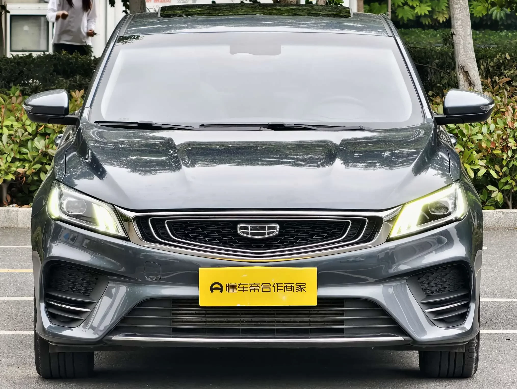 Geely Binrui
