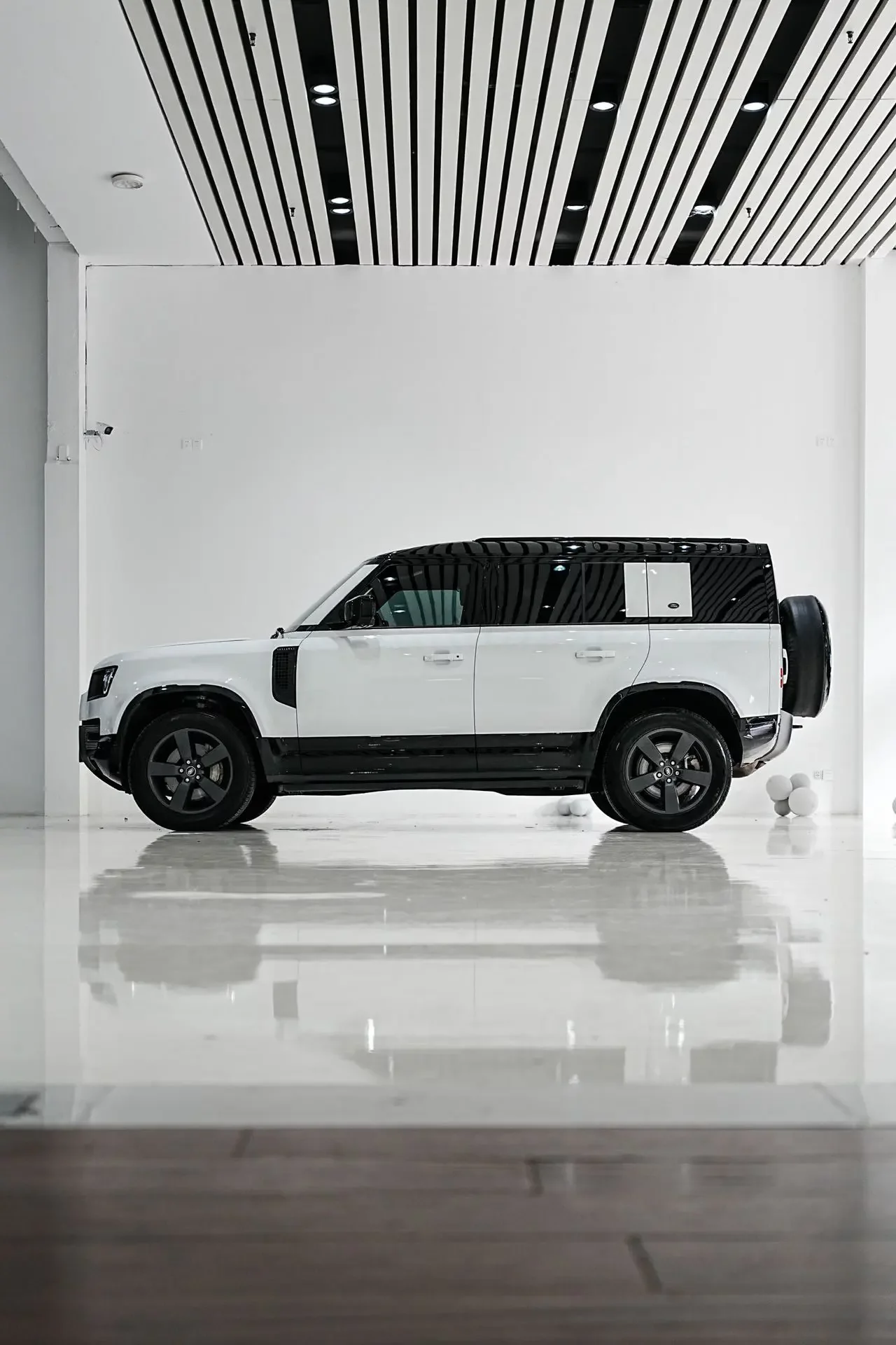 Land Rover guard