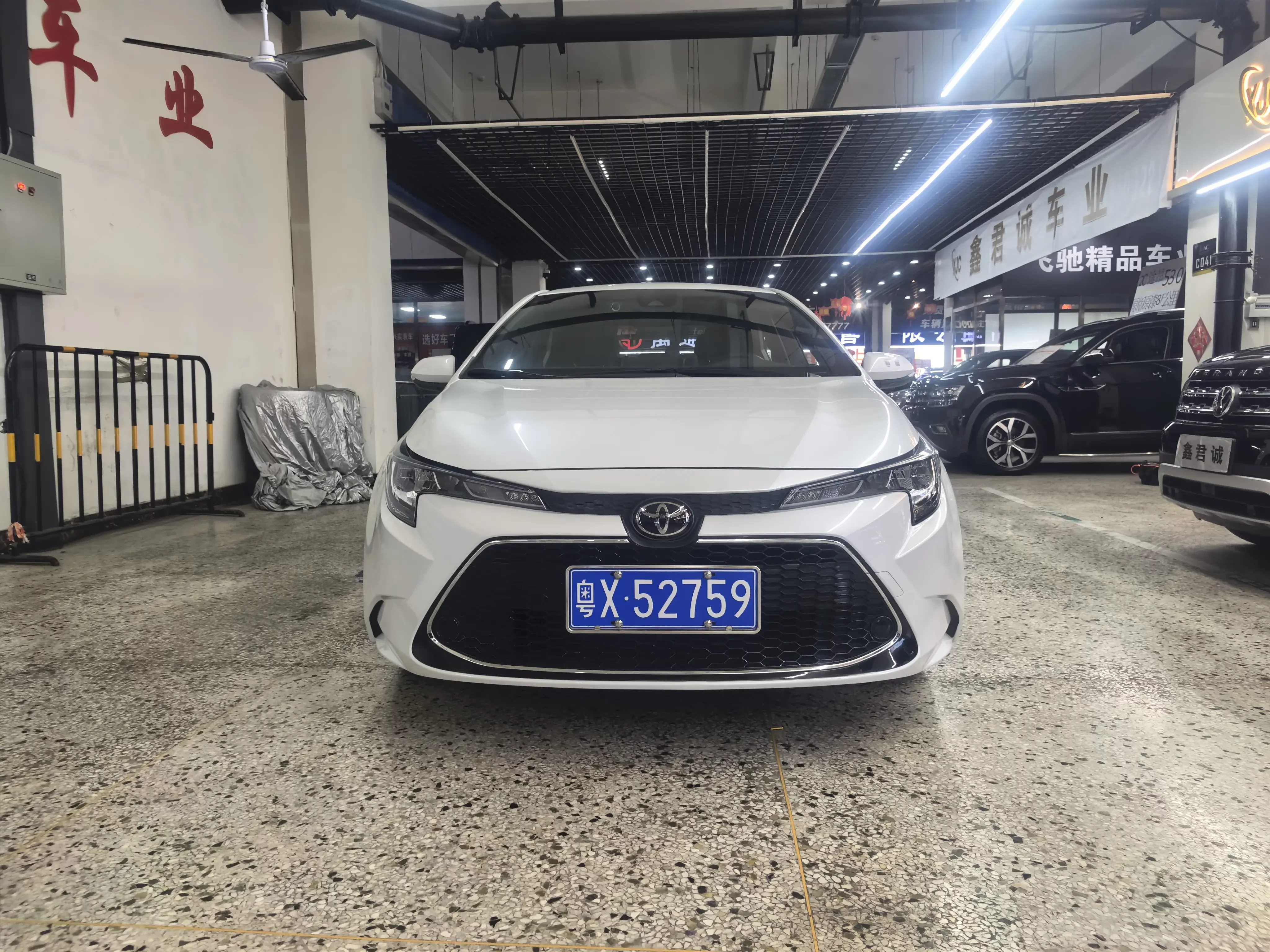 Toyota Levin
