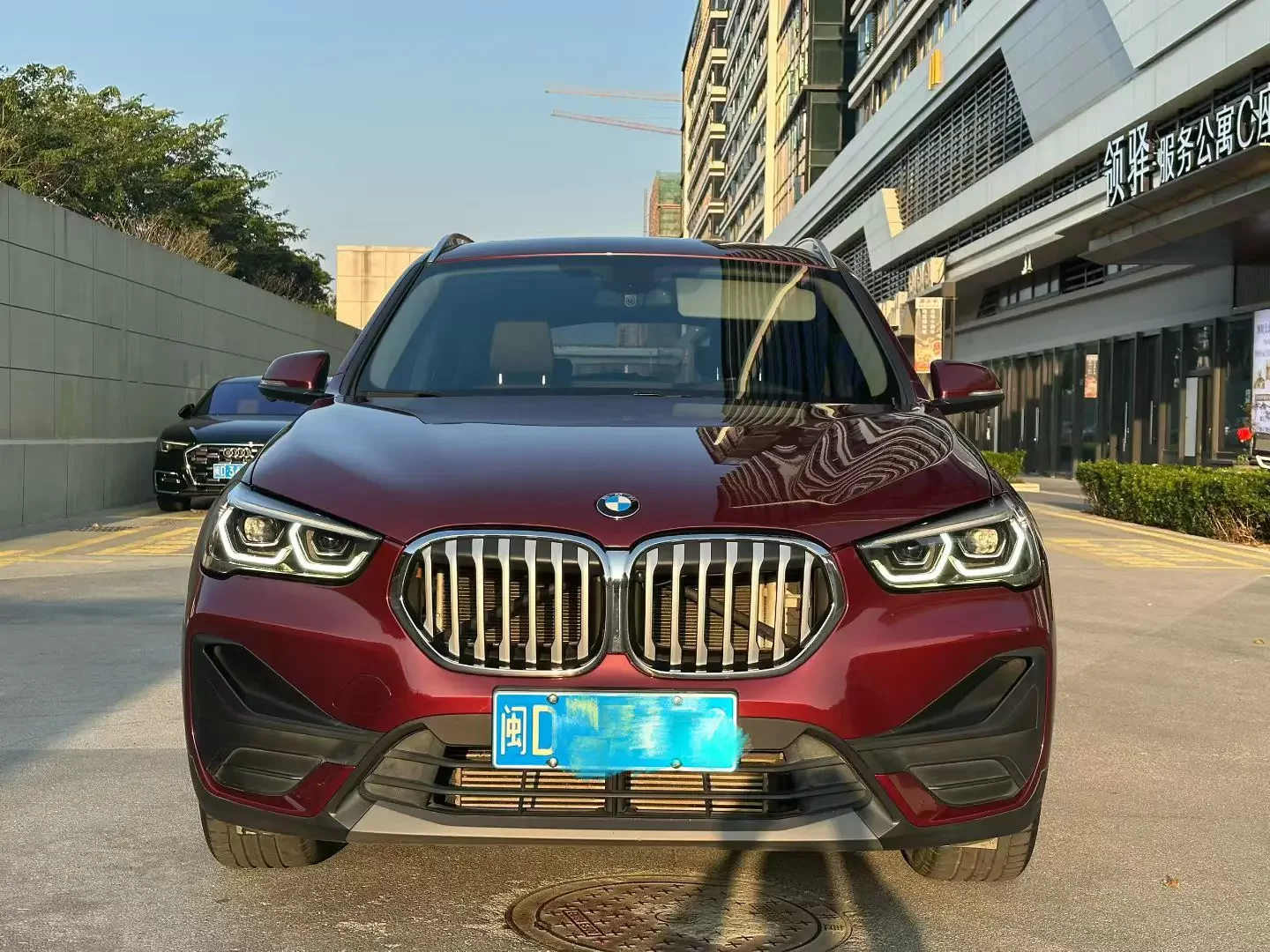 BMW X1