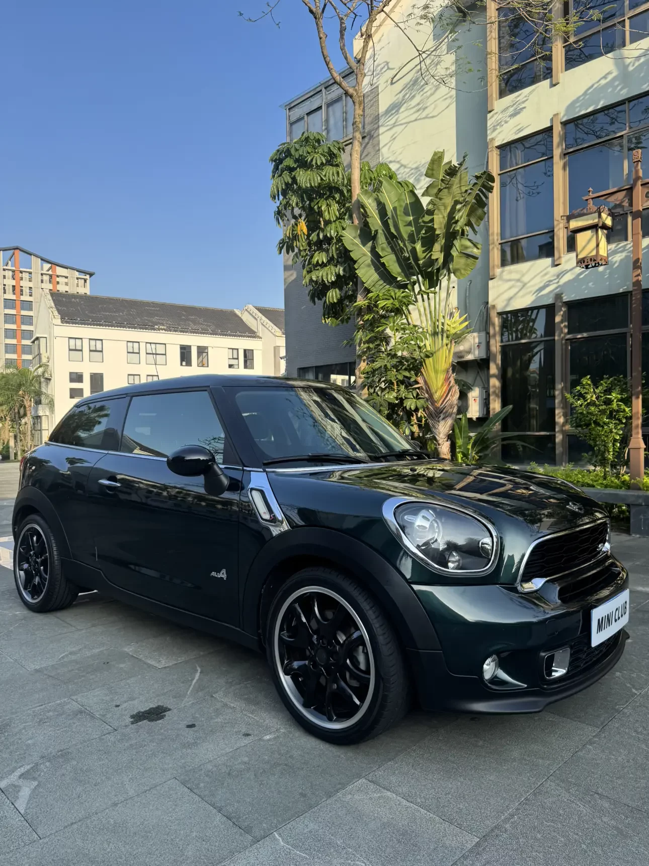 MINI PACEMAN