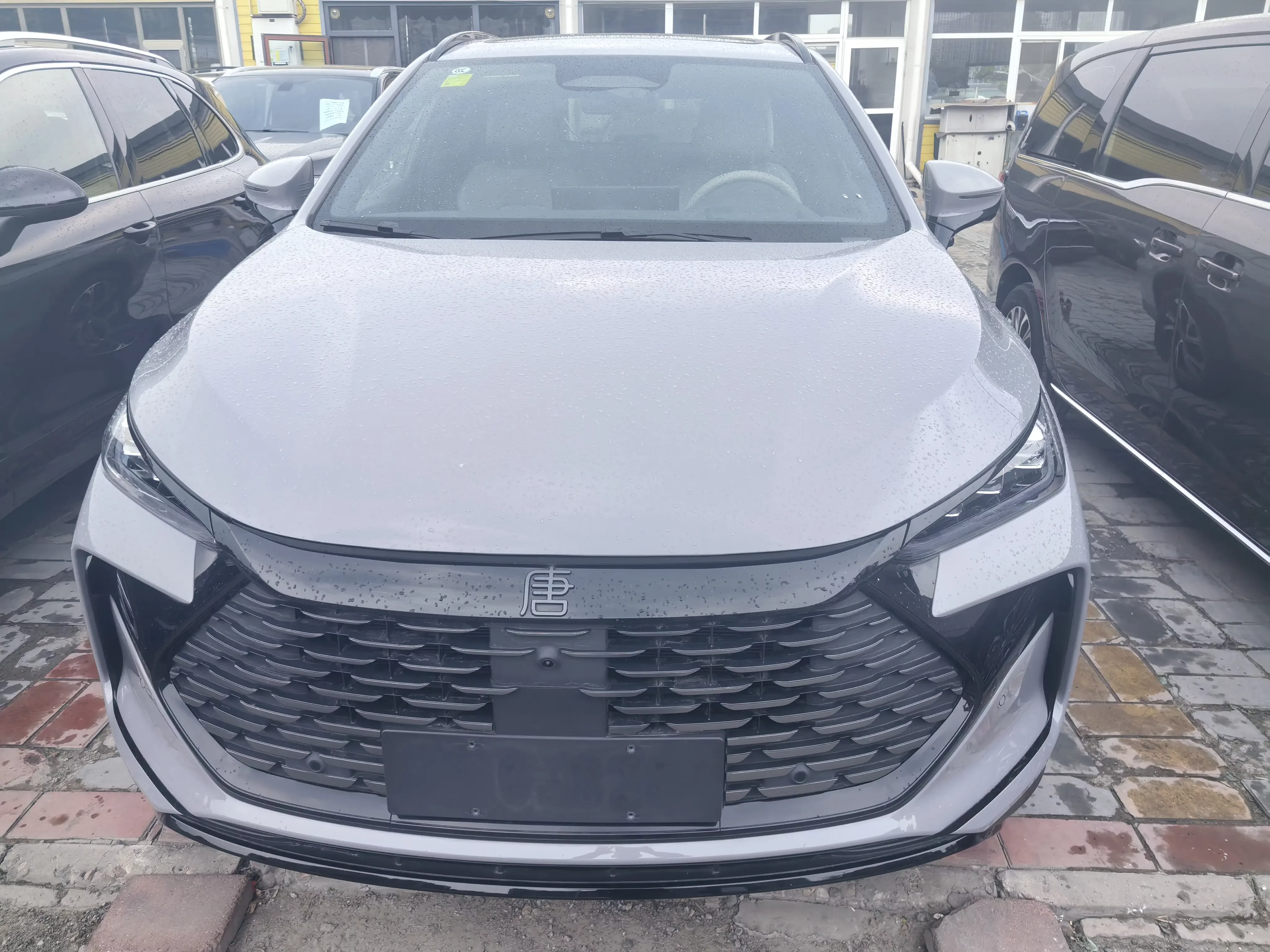 BYD Tang DM