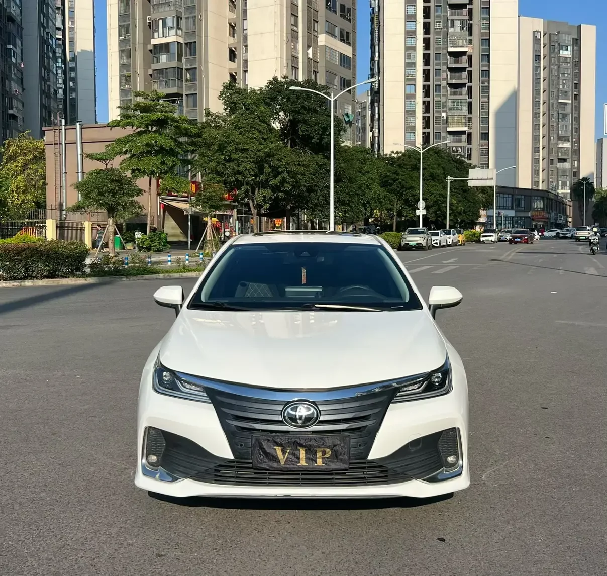 Toyota Asiatic lion