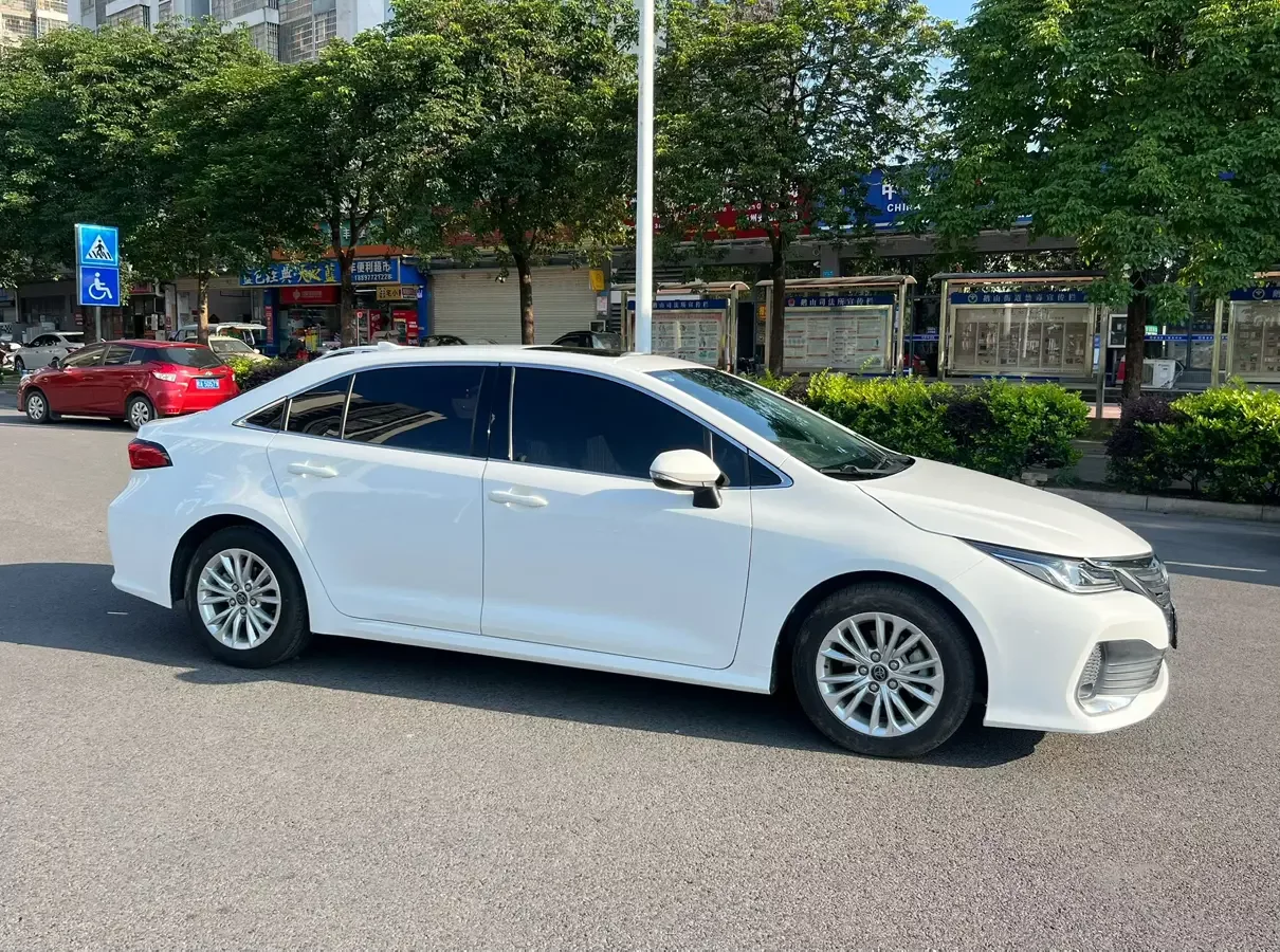 Toyota Asiatic lion