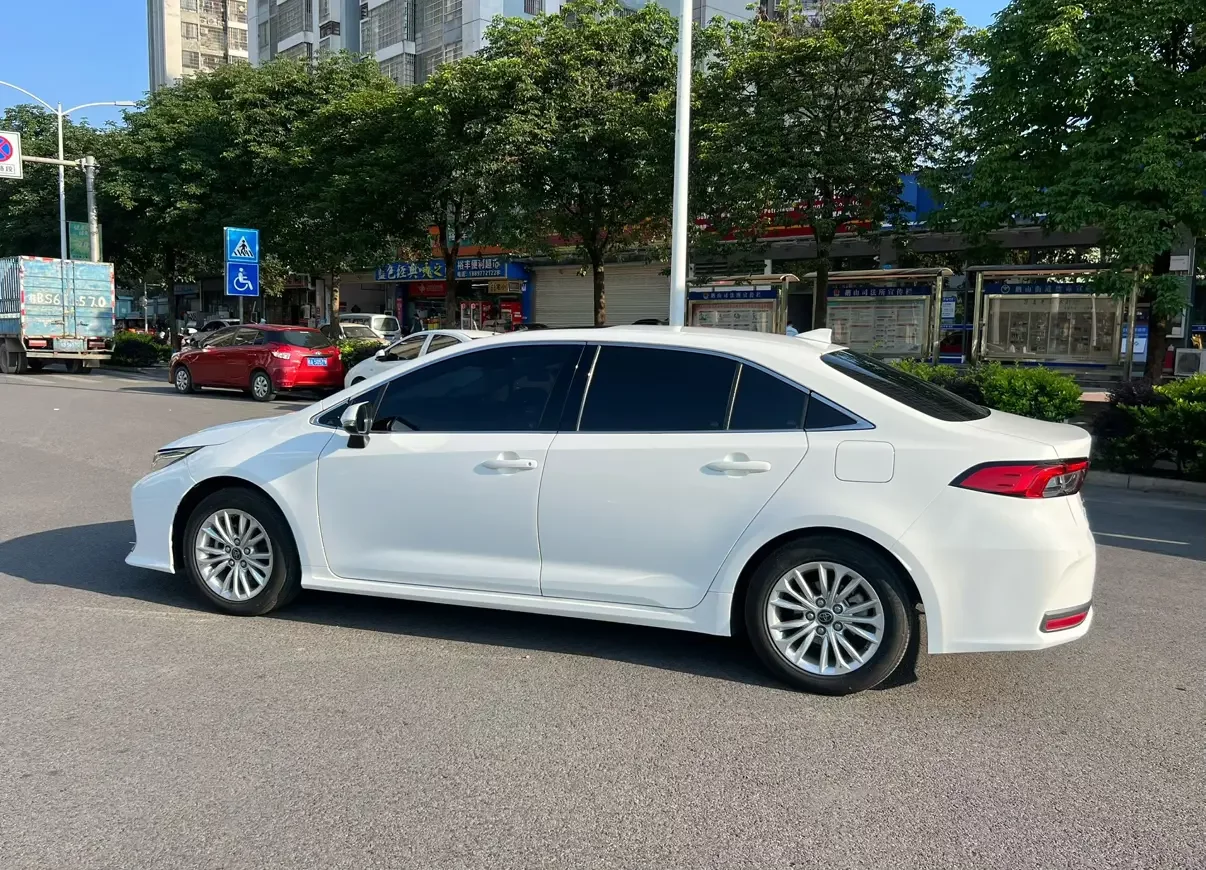 Toyota Asiatic lion