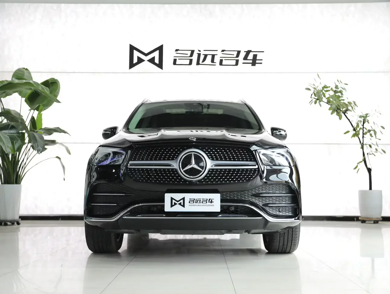 Mercedes-Benz GLE (Imported)
