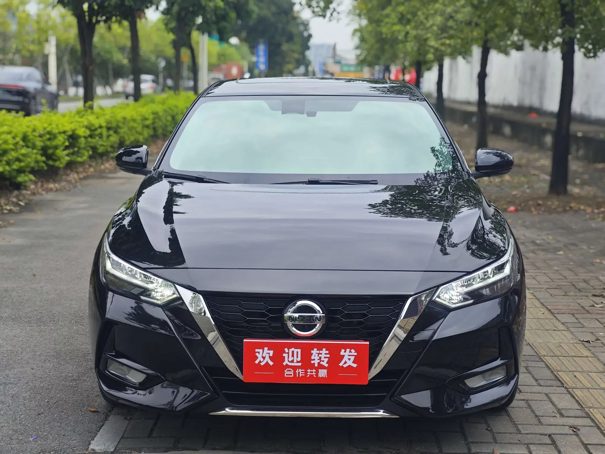 Nissan Sylphy