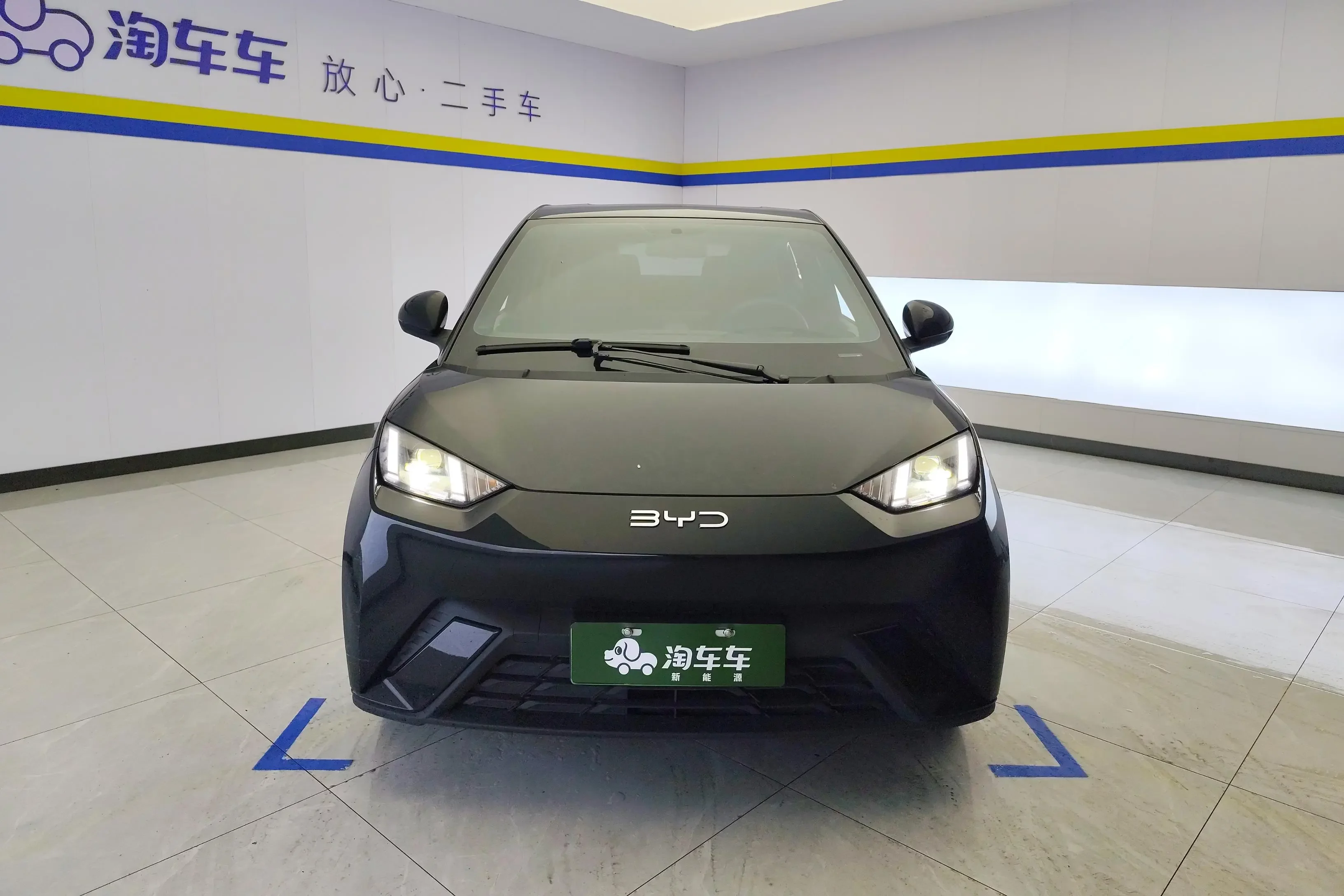 BYD seagull