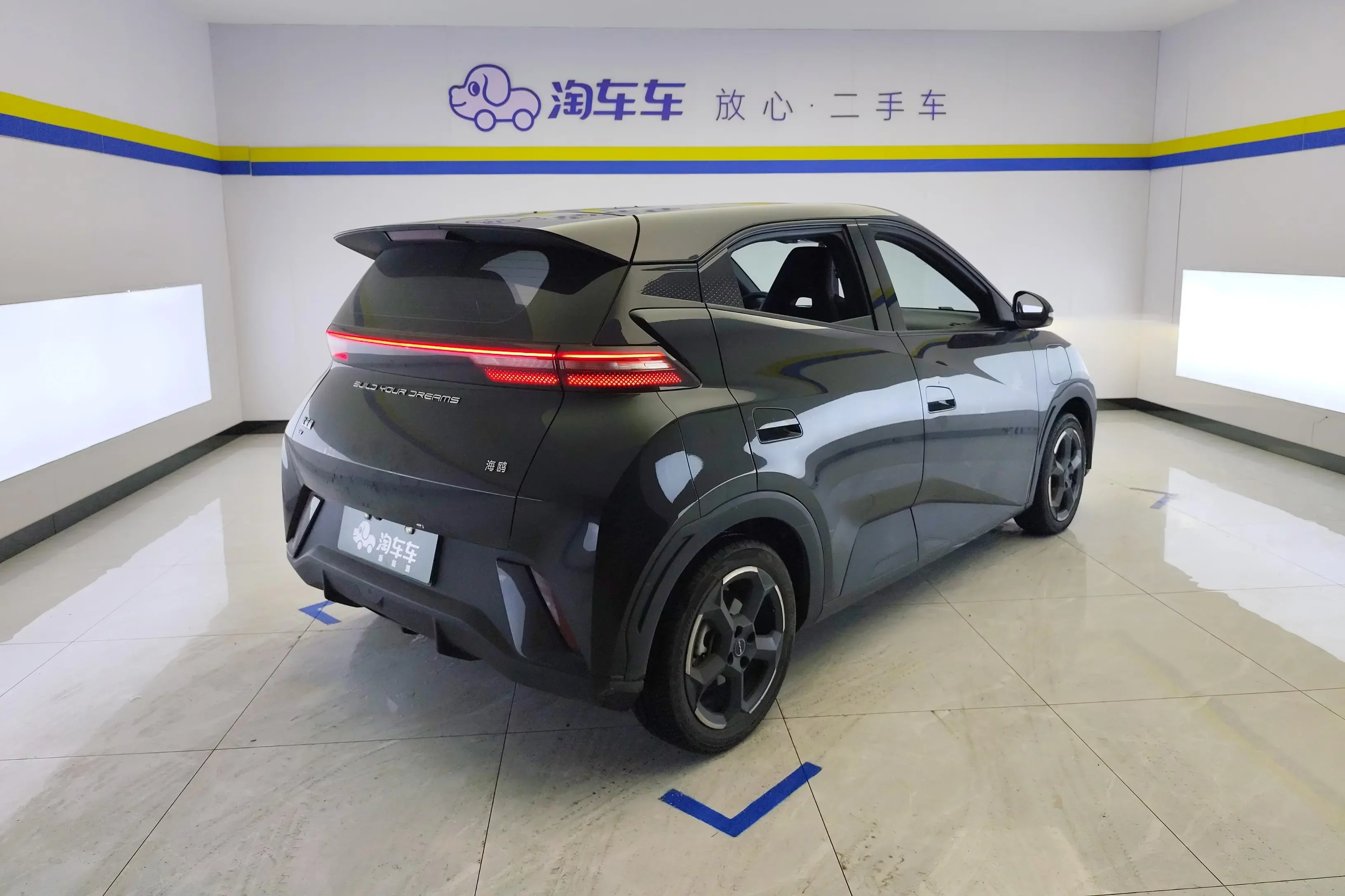 BYD seagull