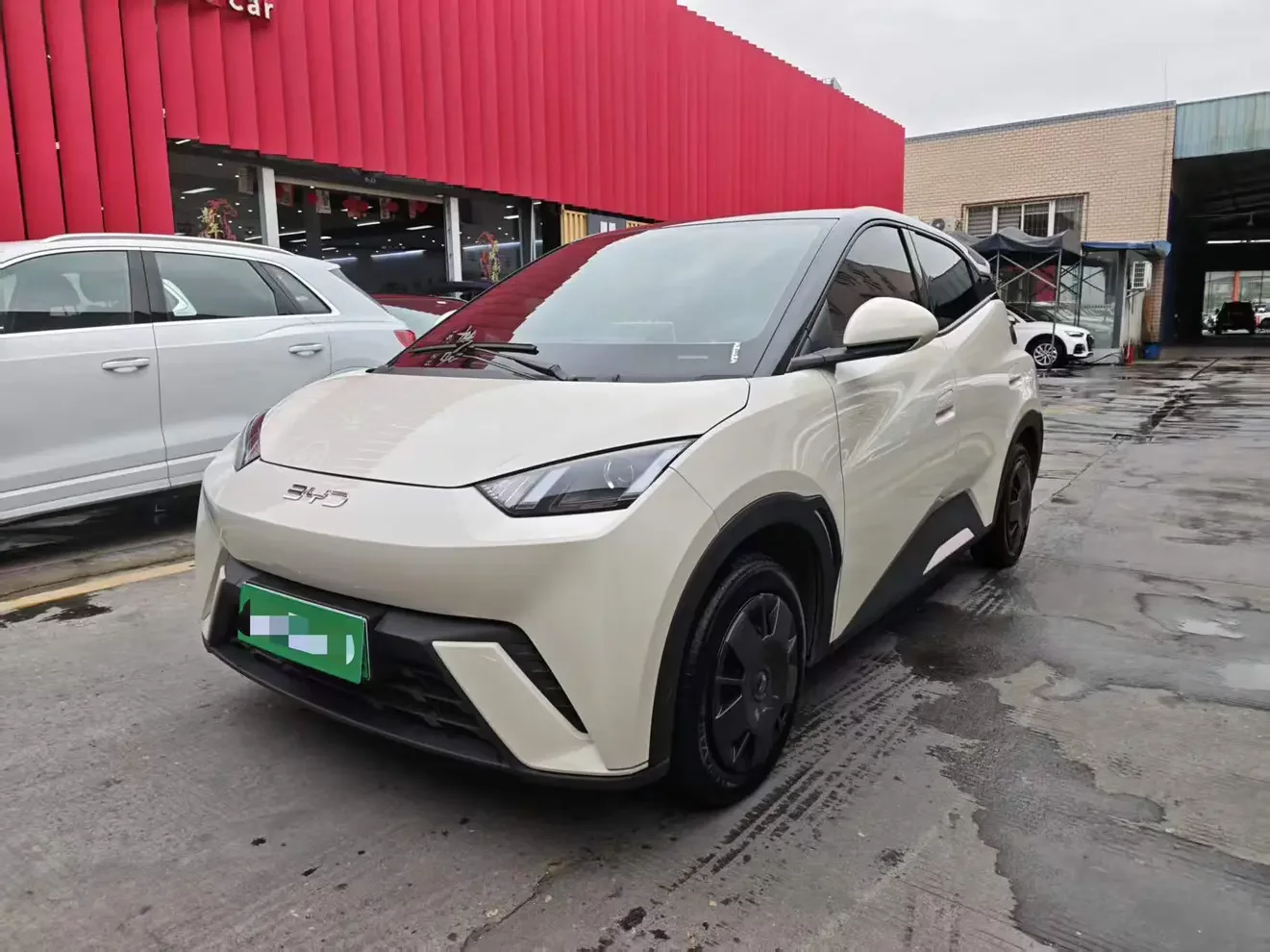 BYD seagull