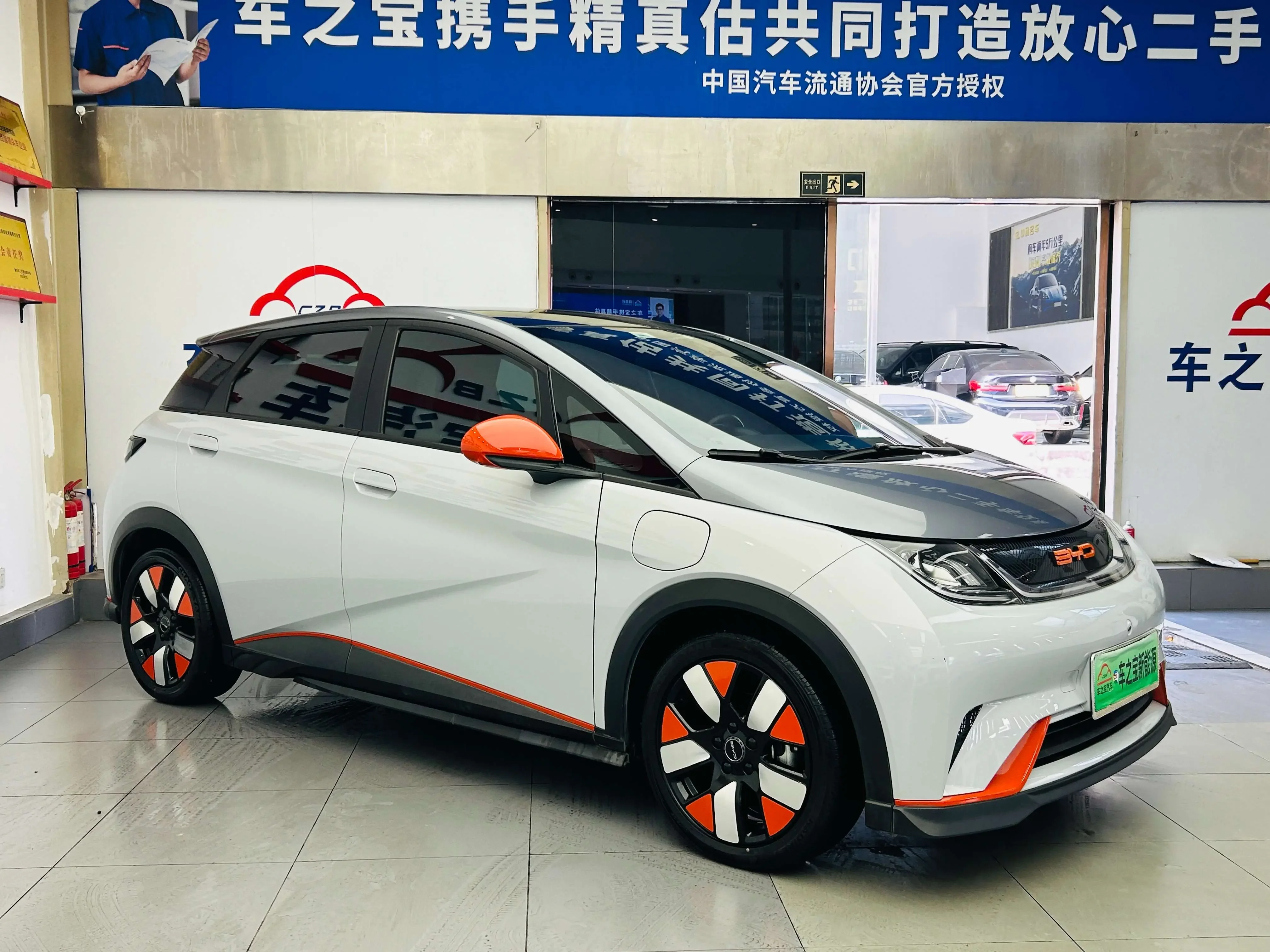 BYD dolphin