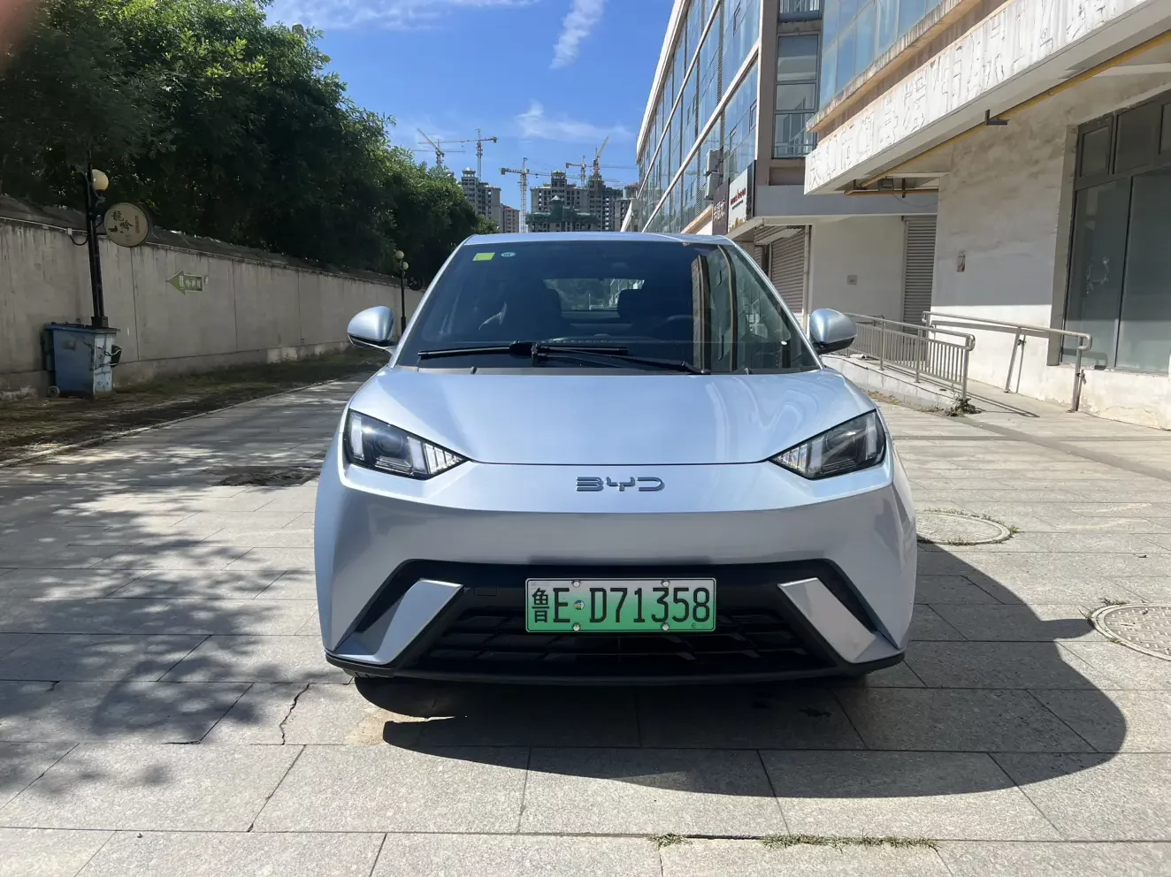 BYD seagull