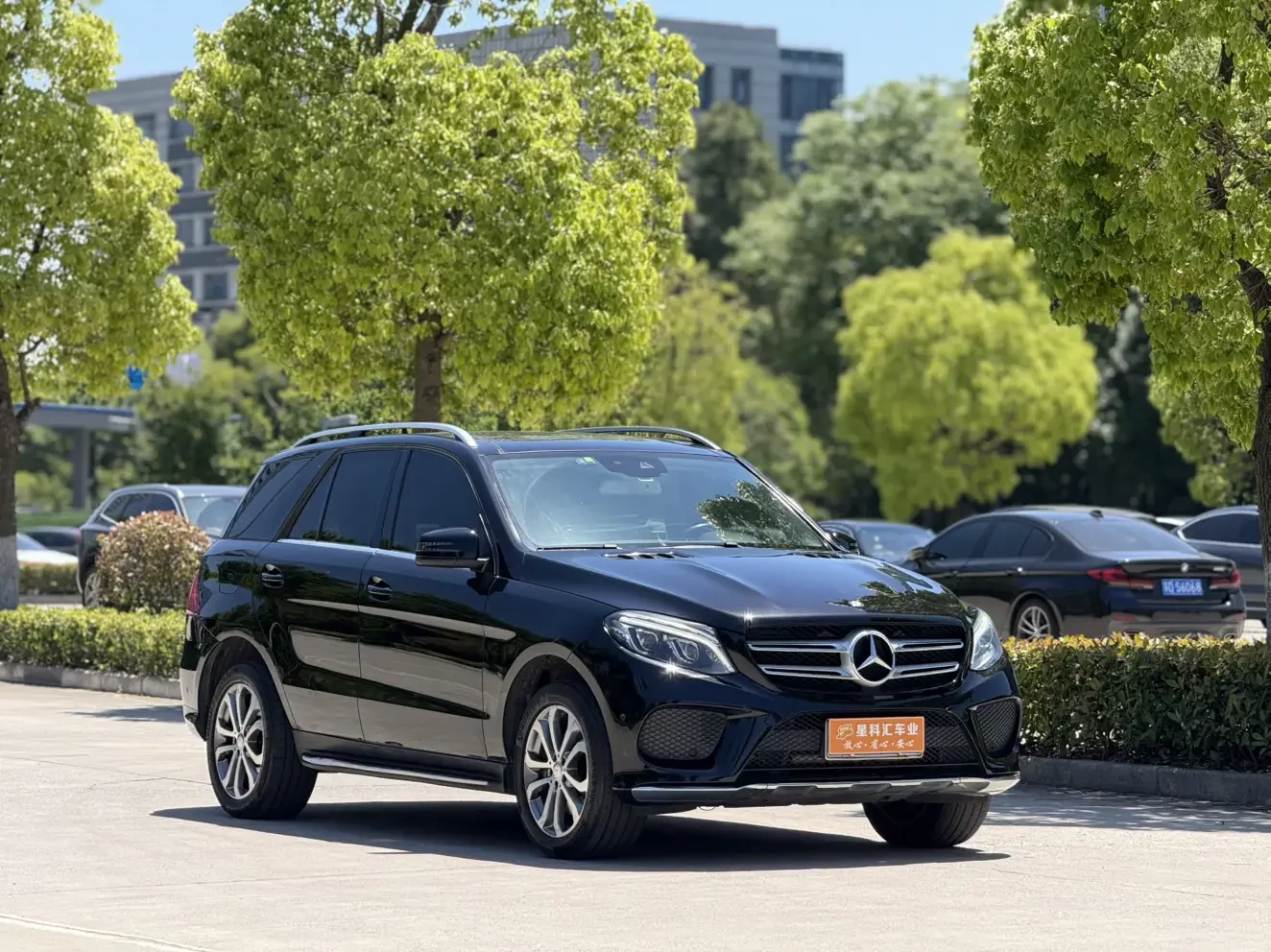 Mercedes-Benz GLE (Imported)