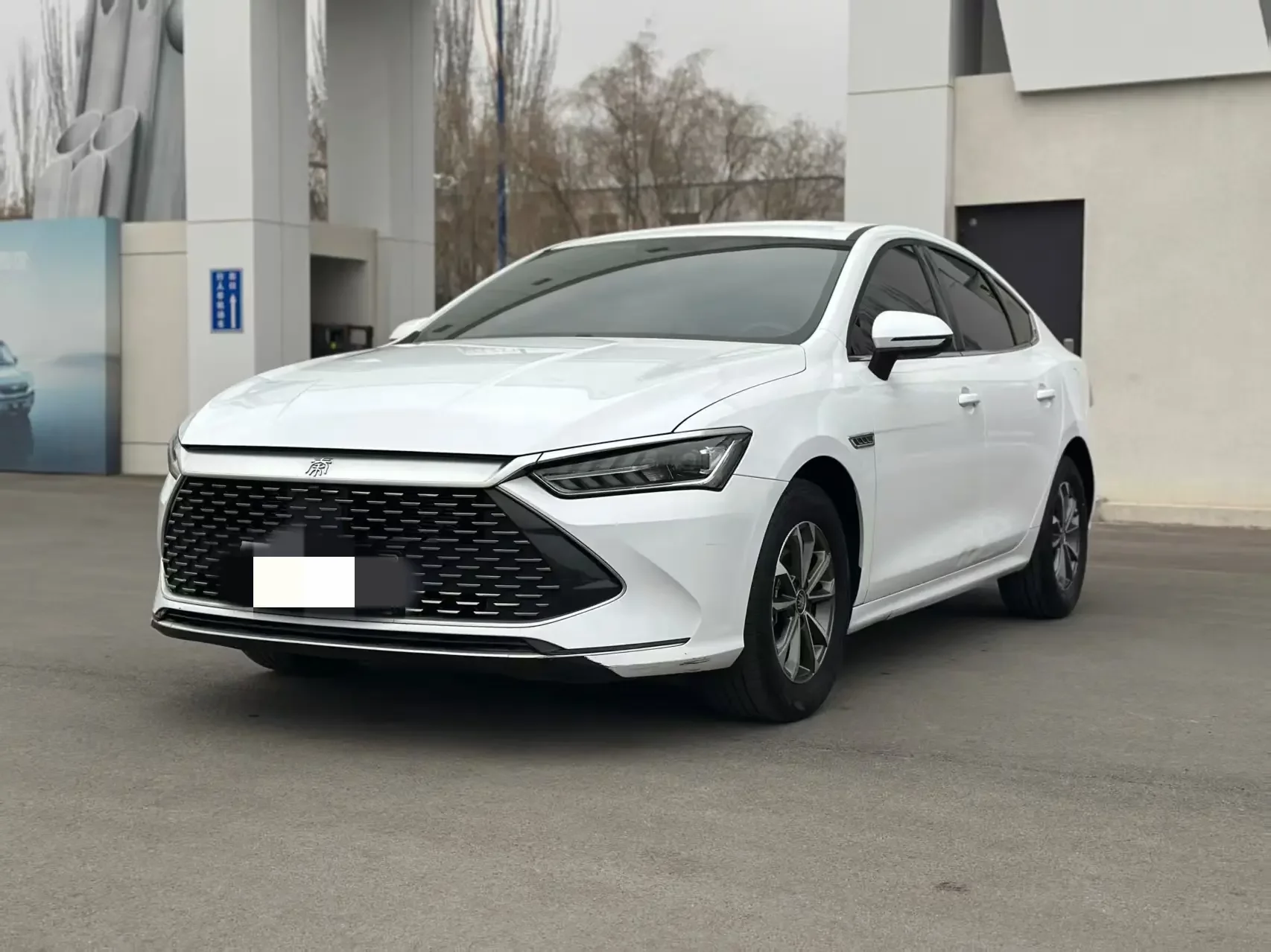 BYD Qin PLUS DM