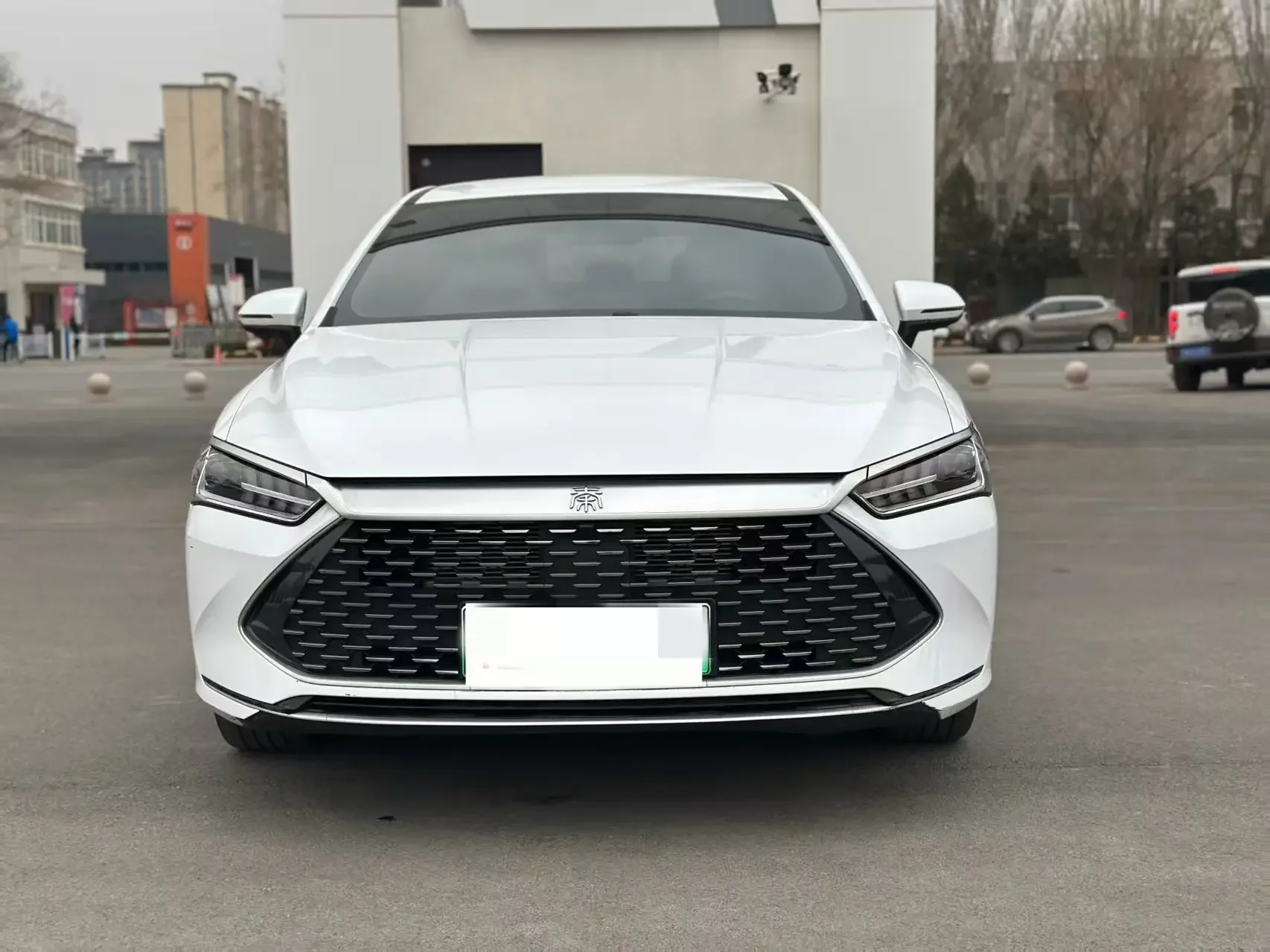 BYD Qin PLUS DM