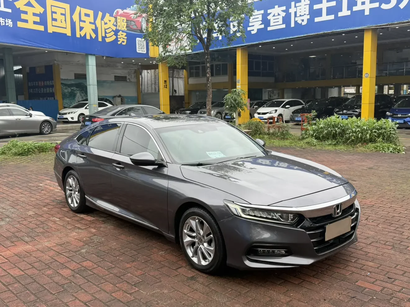 Honda Accord