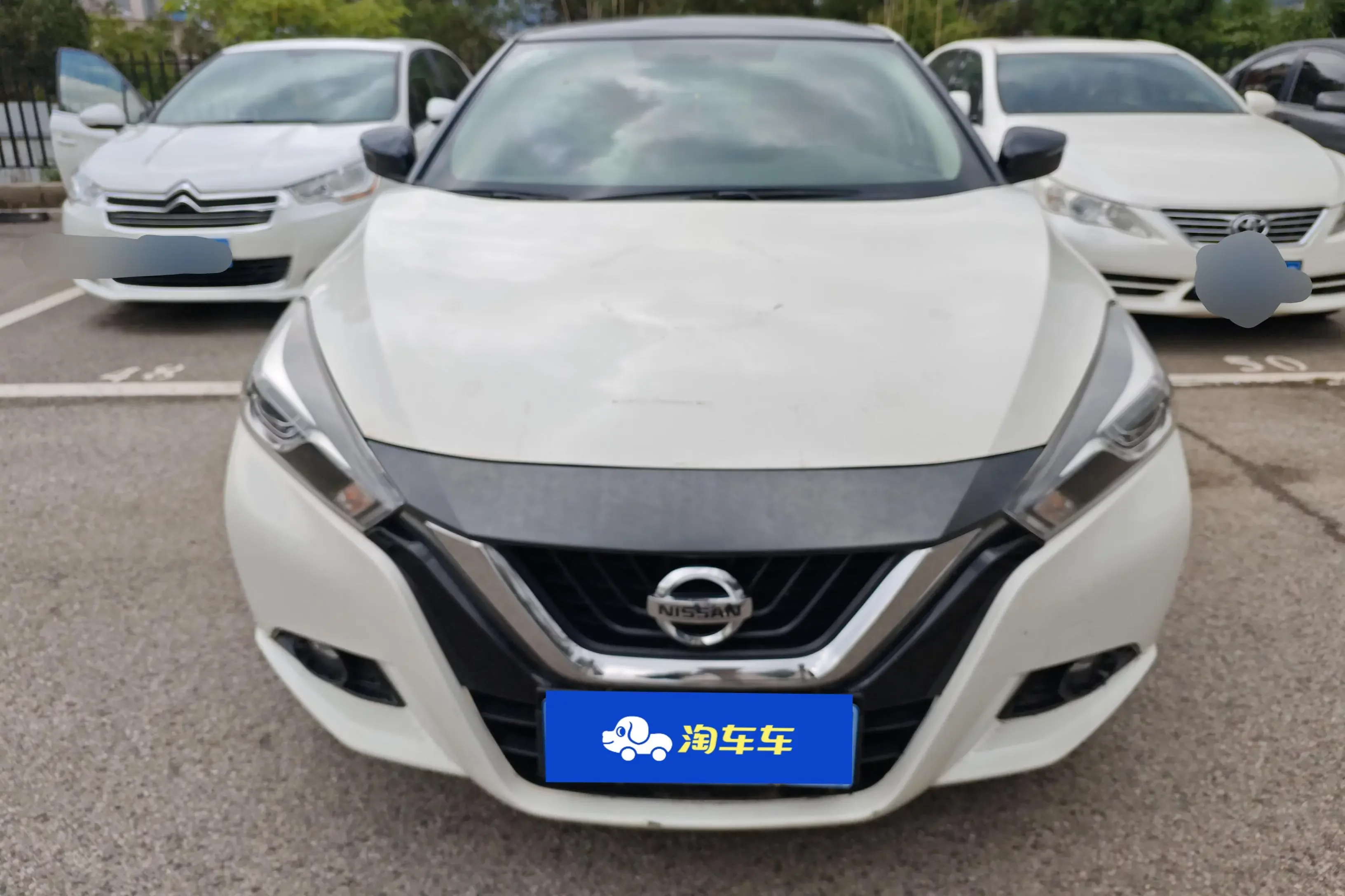 Nissan bluebird