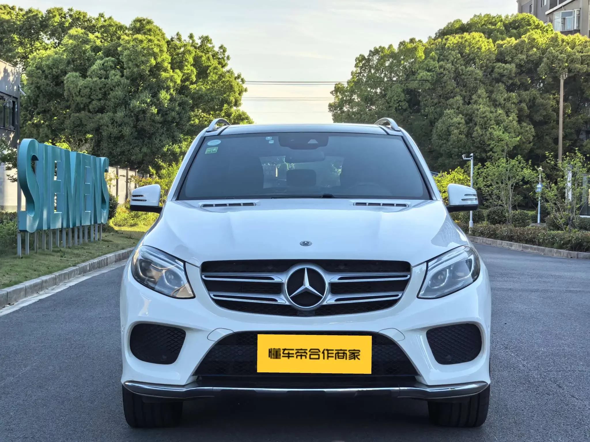 Mercedes-Benz GLE (Imported)