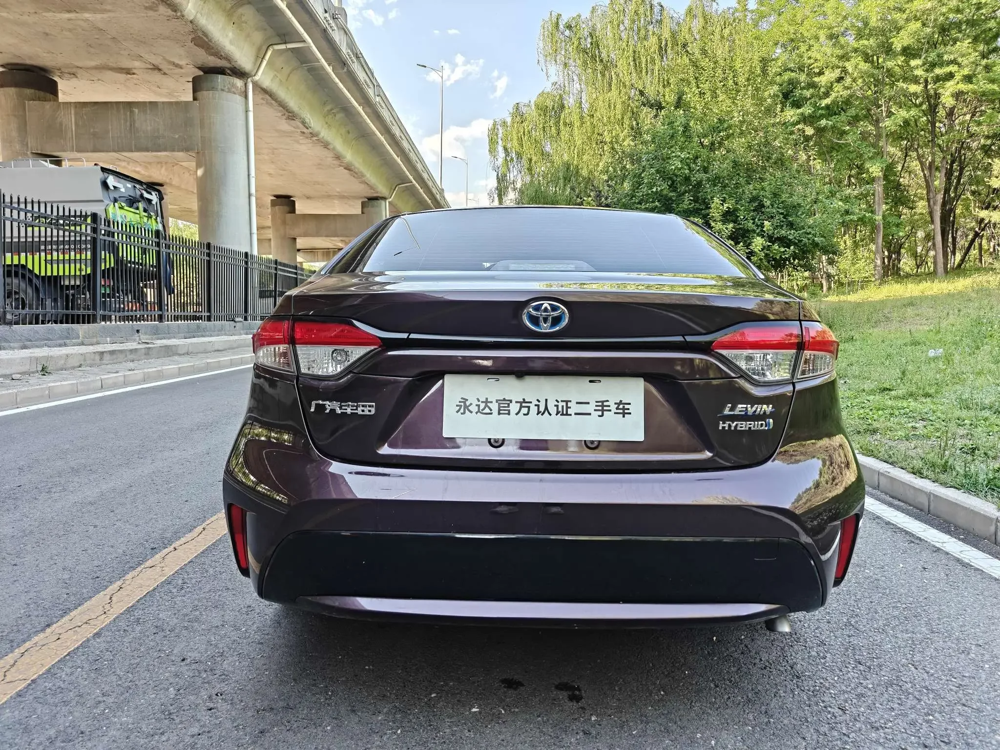 Toyota Levin