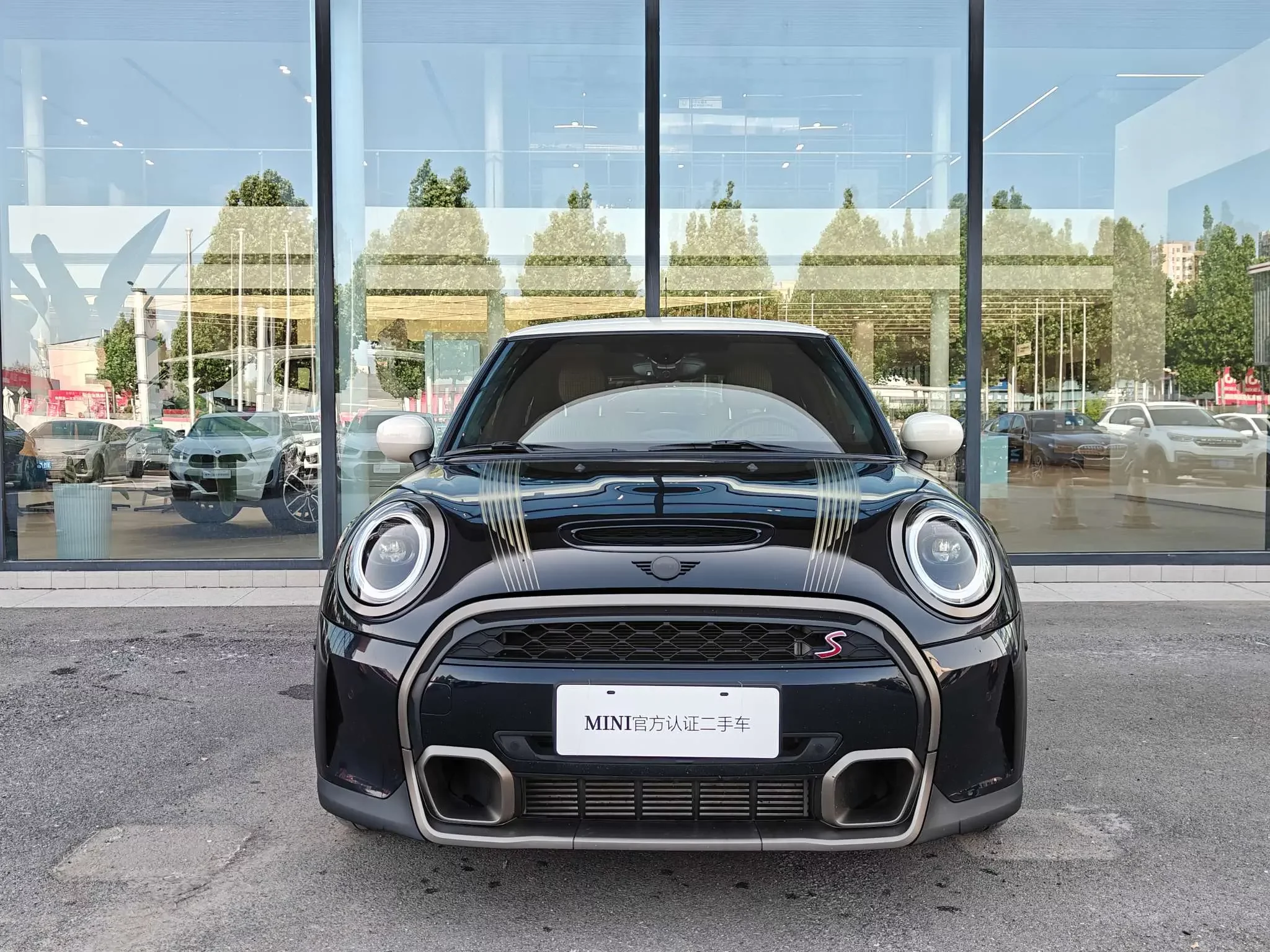 MINI 