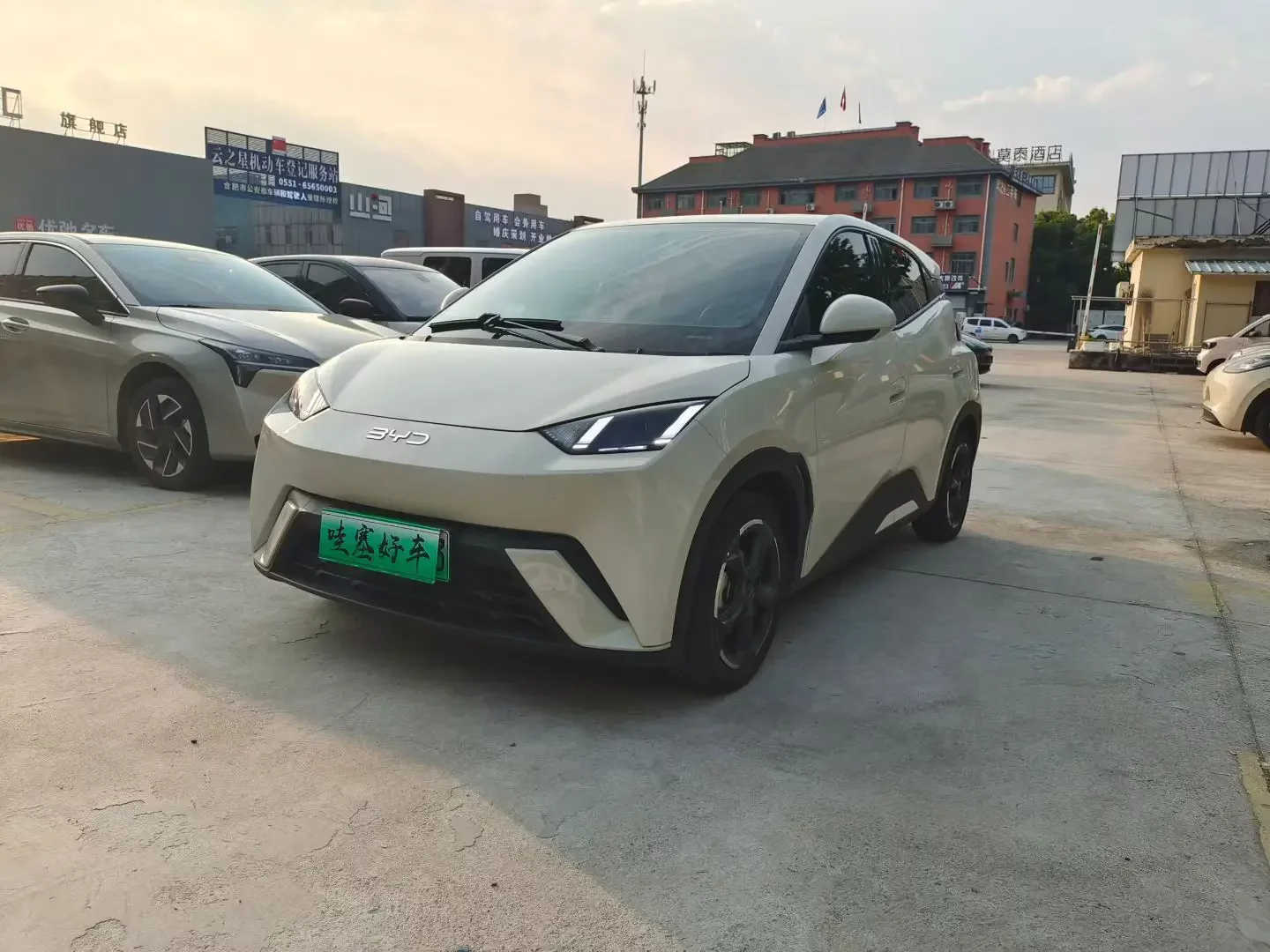 BYD seagull