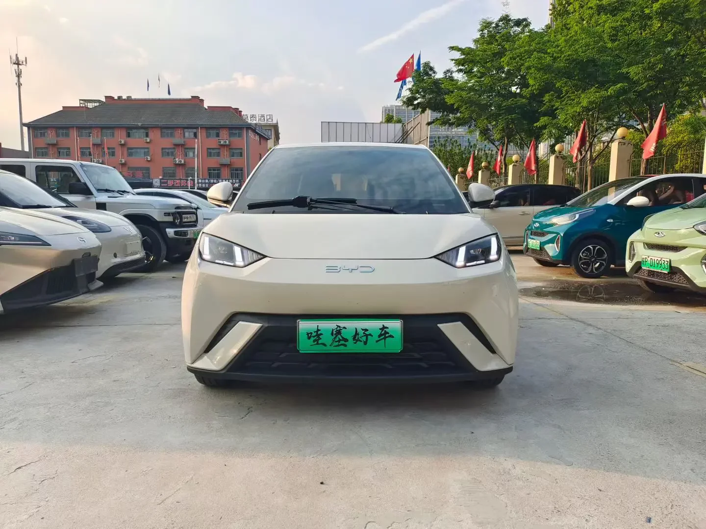 BYD seagull