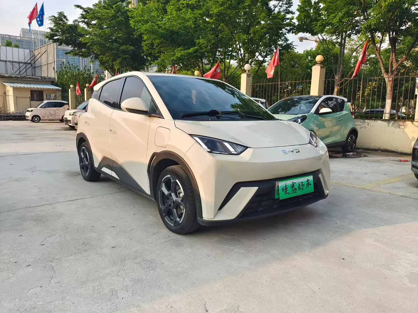 BYD seagull