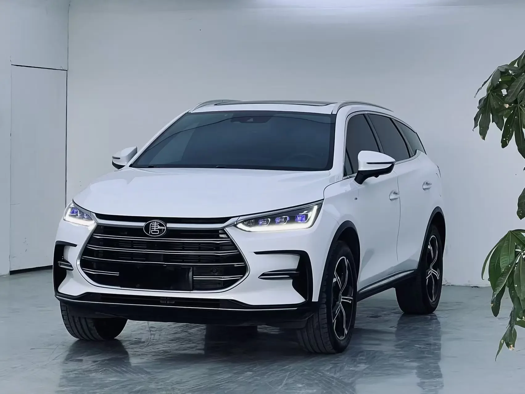 BYD Tang DM