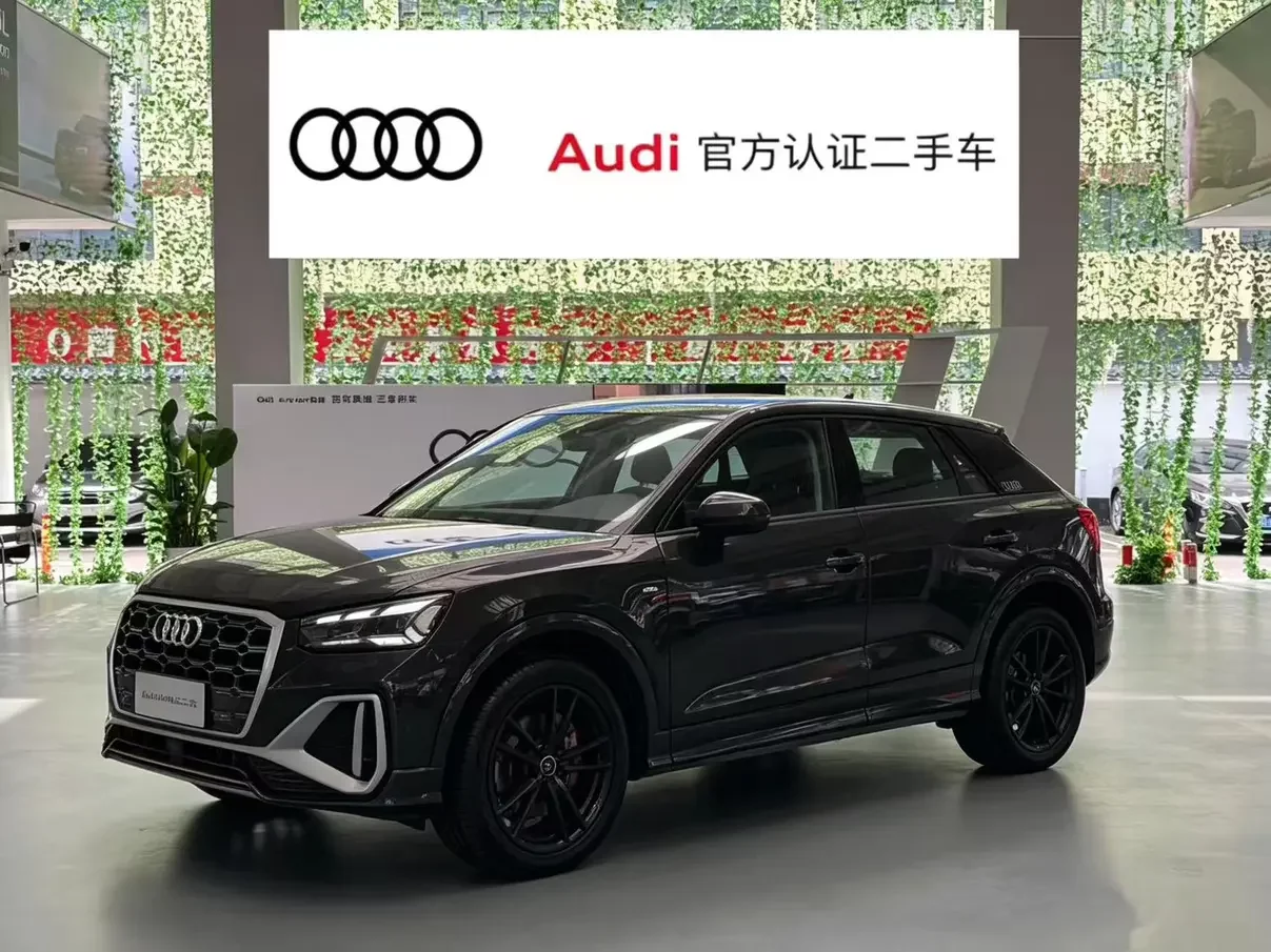 Audi Q2L