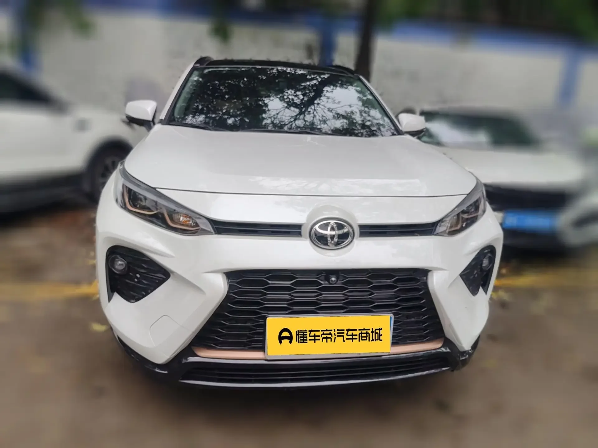 Toyota Willanda